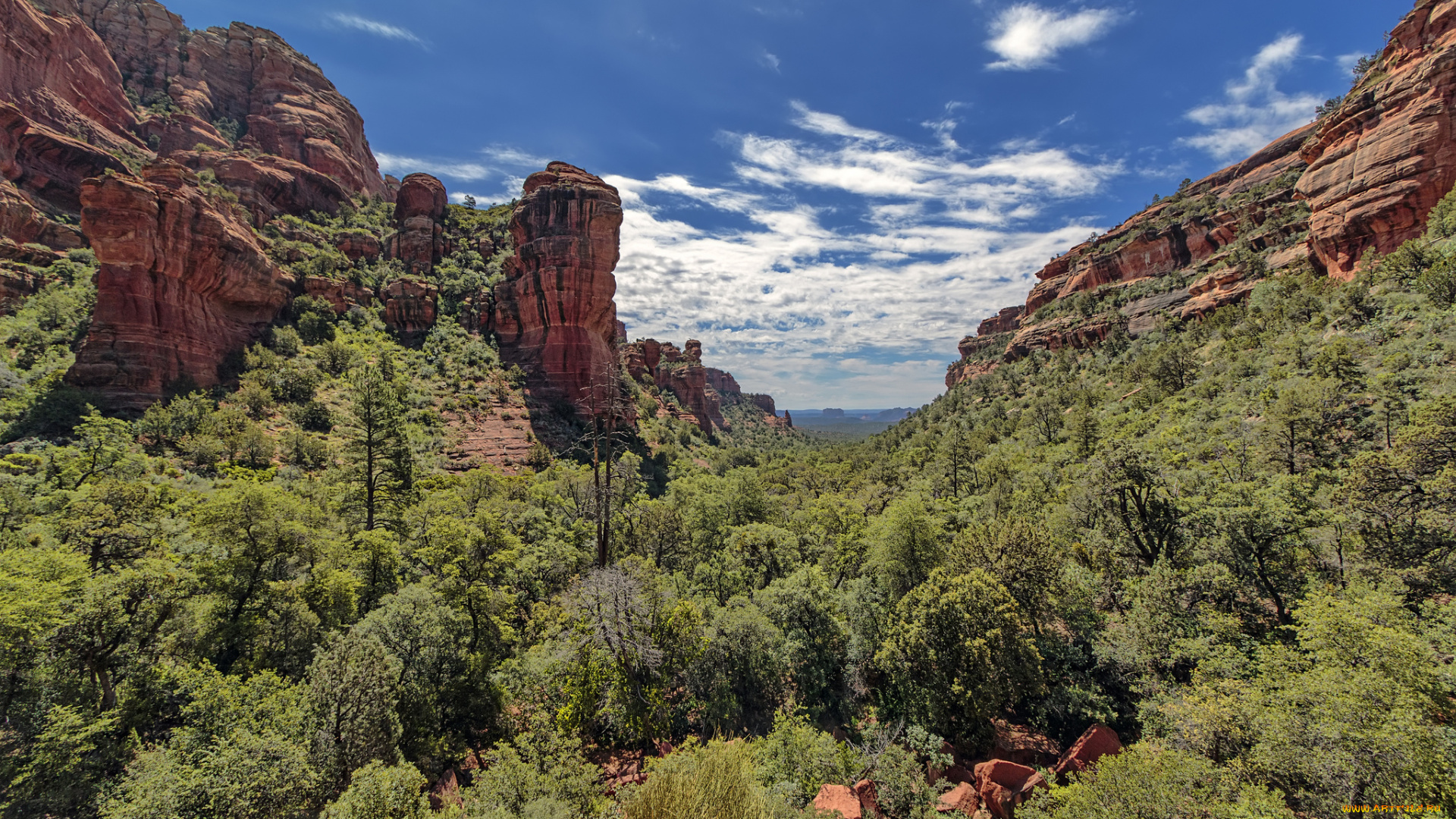 природа, горы, простор