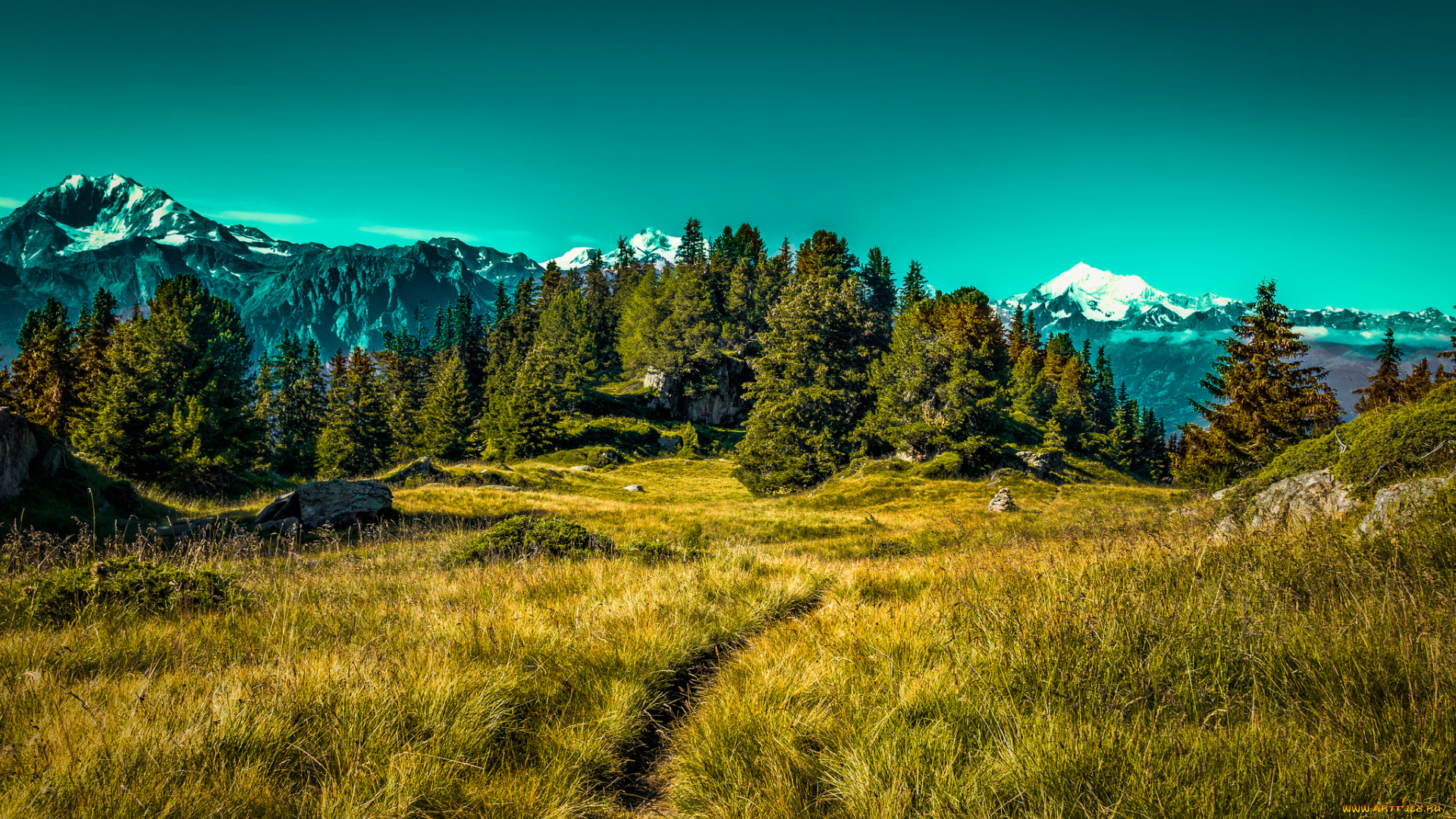 природа, пейзажи, простор