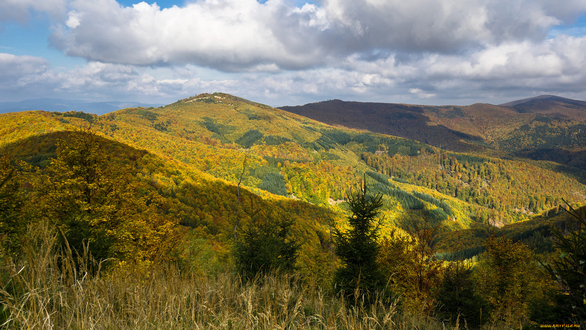 природа, пейзажи, простор