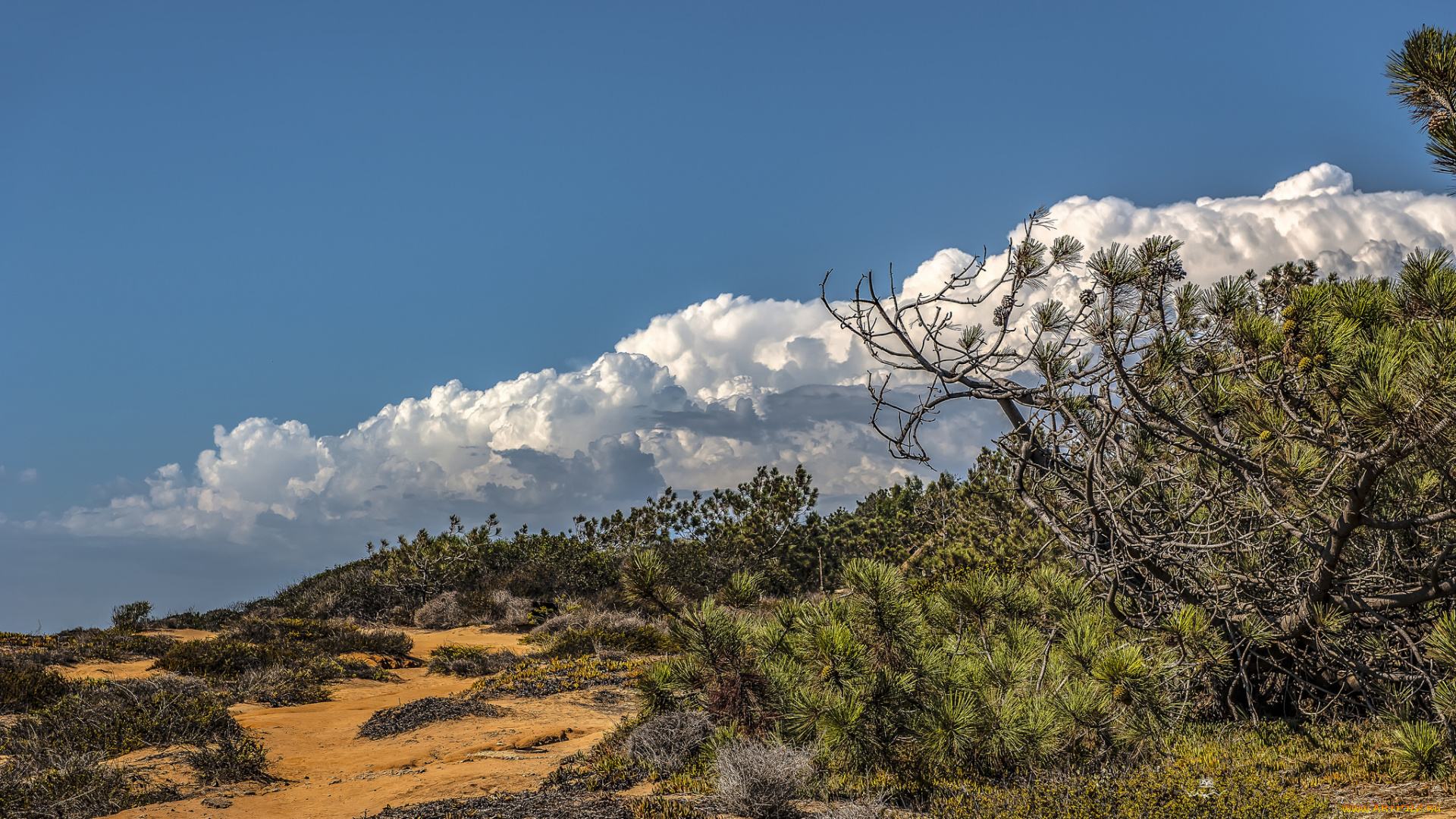 природа, пейзажи, простор