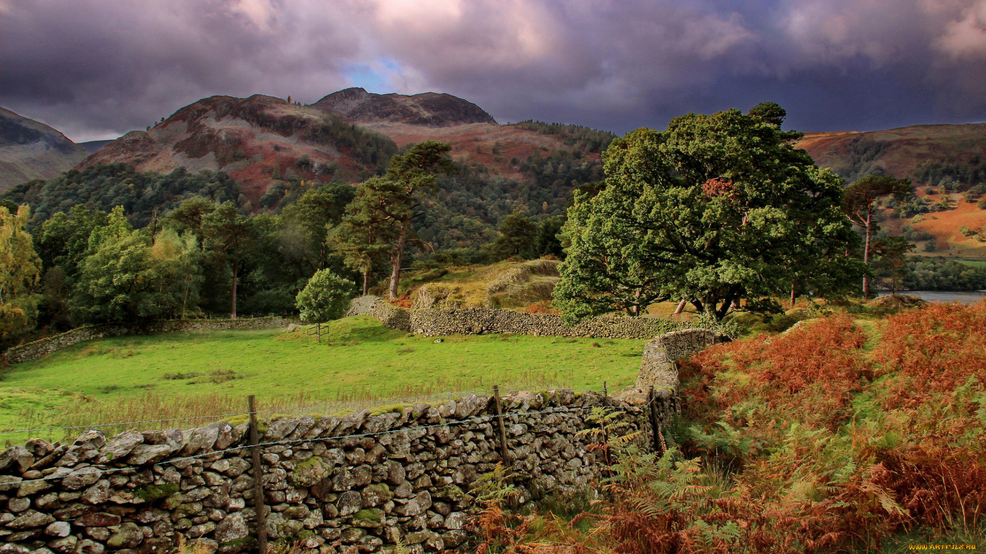 природа, пейзажи, простор