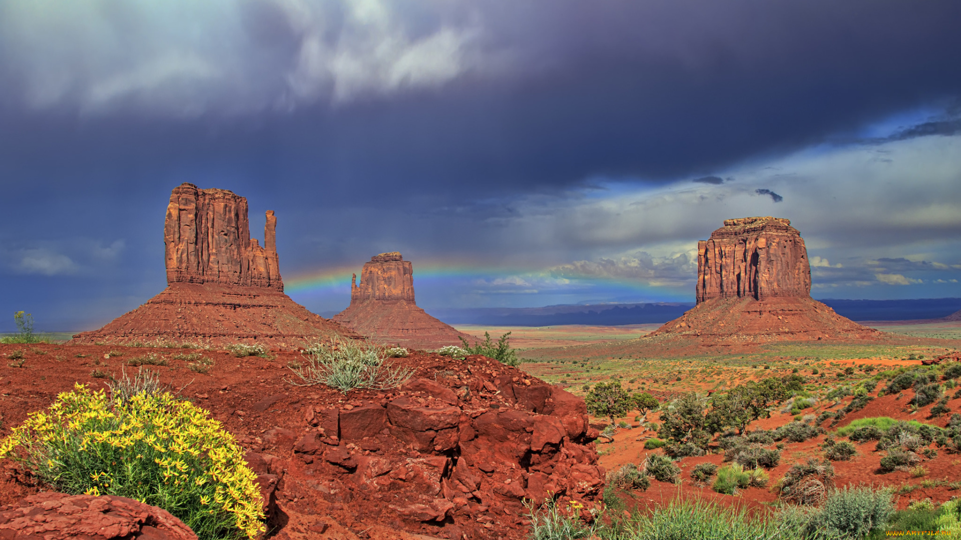 природа, пустыни, простор