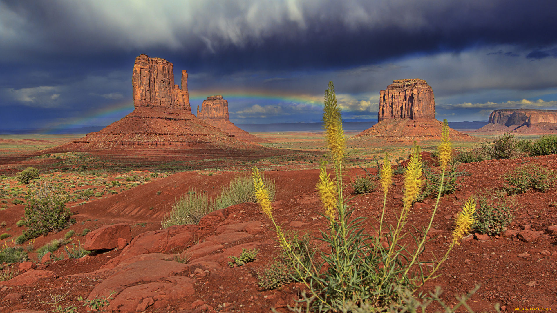 природа, пустыни, простор