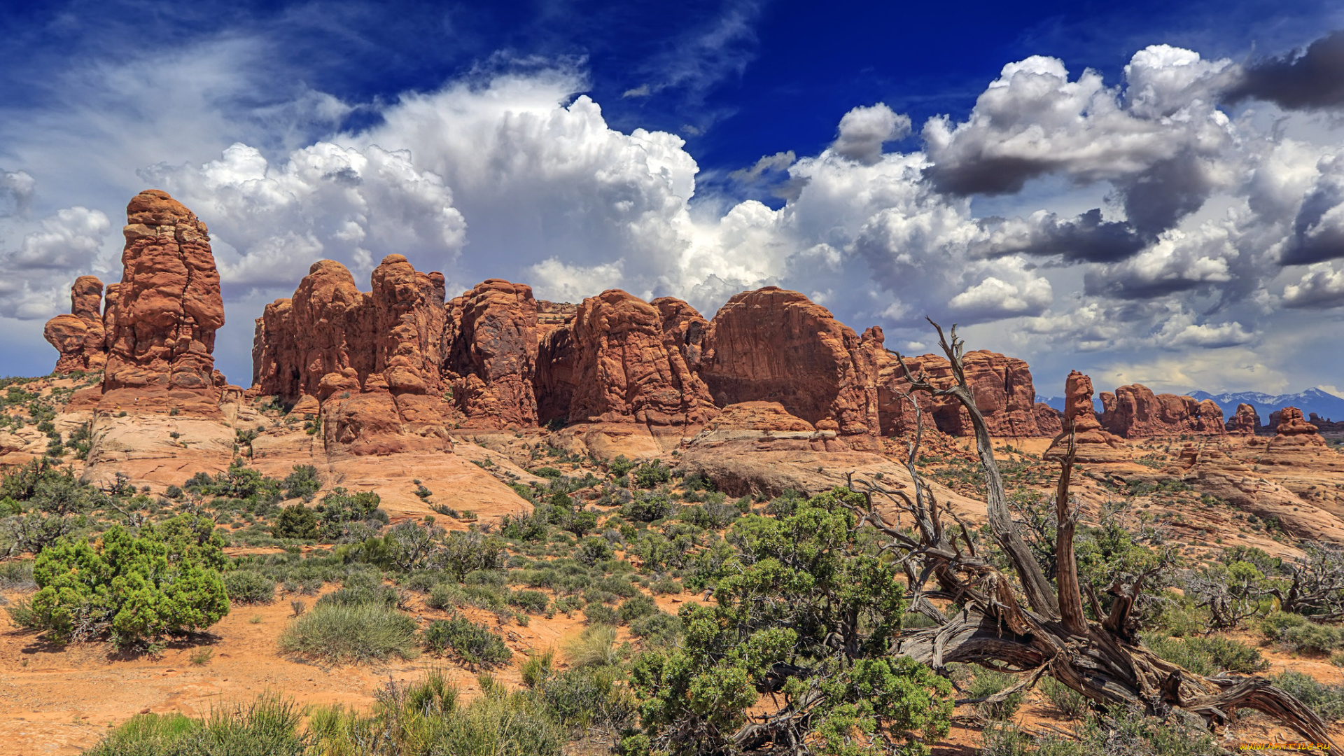 природа, пустыни, простор