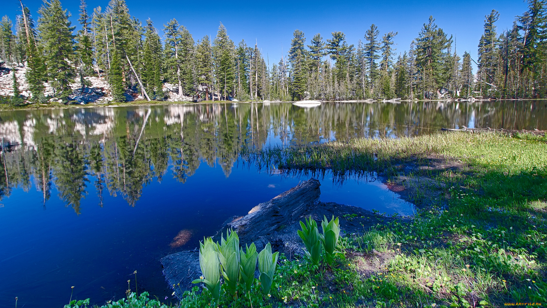 природа, реки, озера, простор