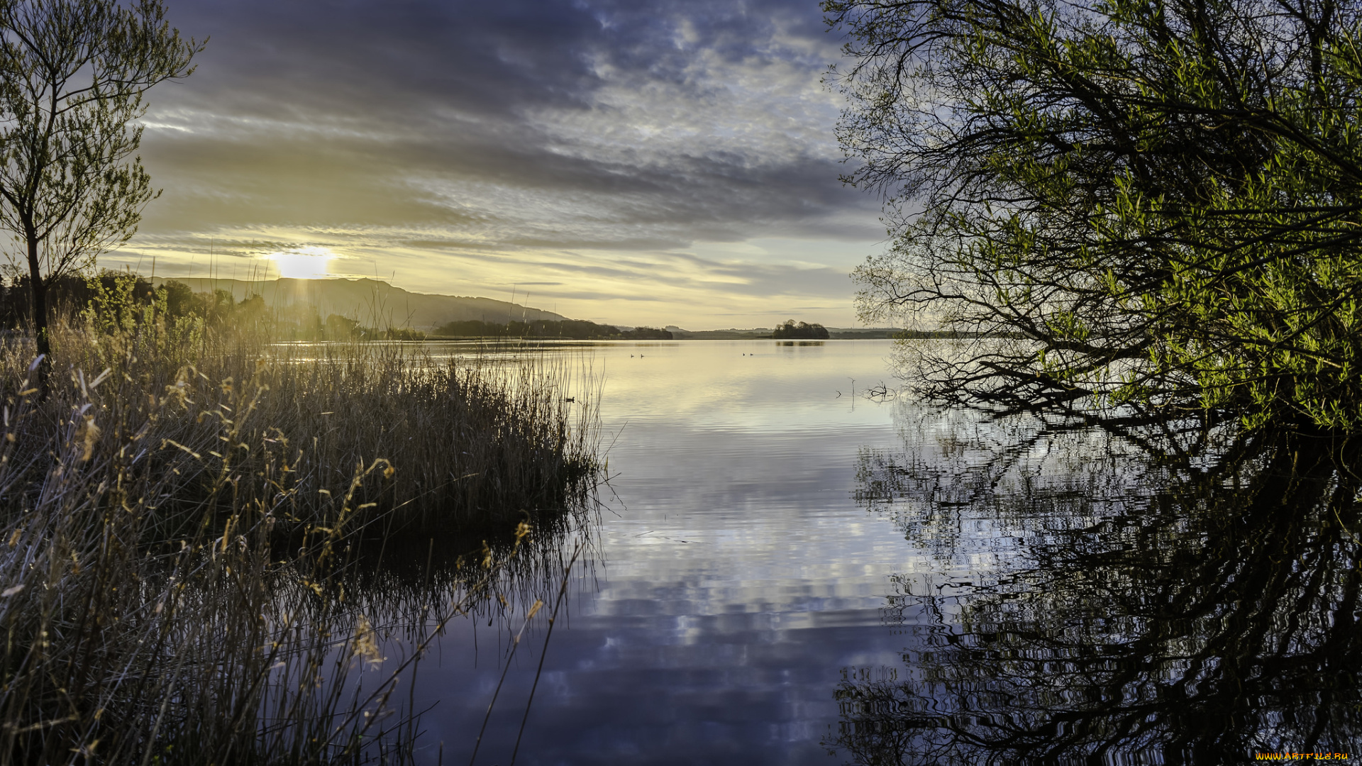 природа, реки, озера, простор