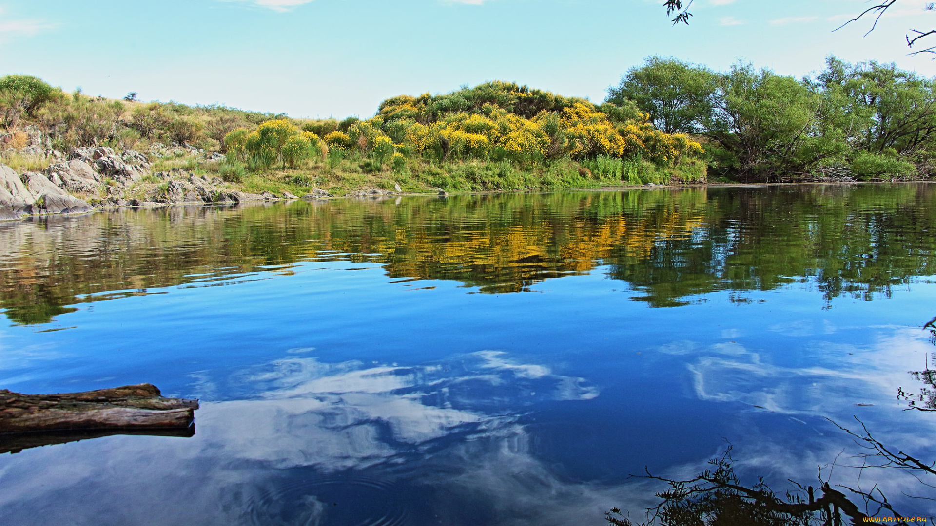 природа, реки, озера, простор