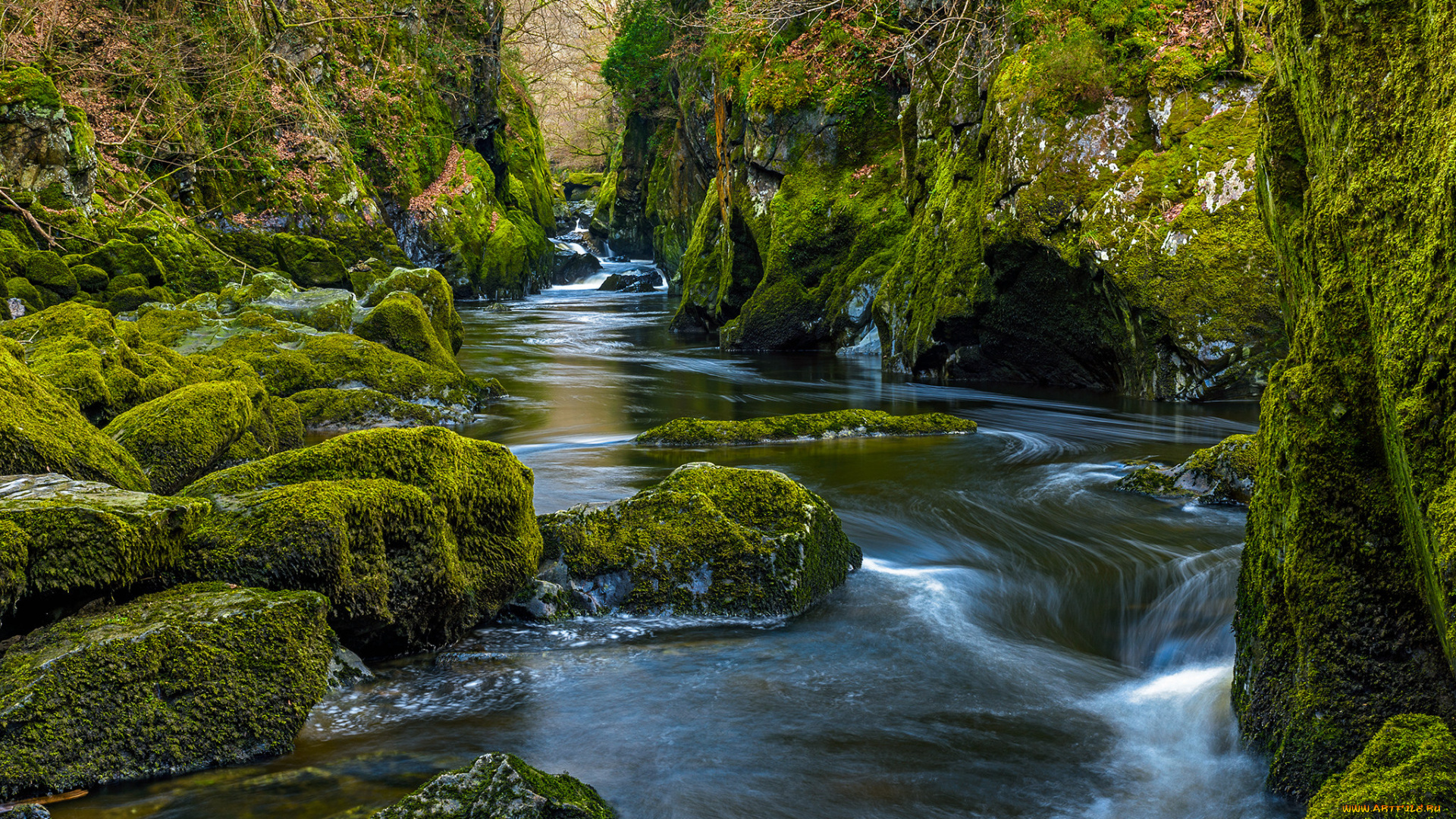 природа, реки, озера, простор