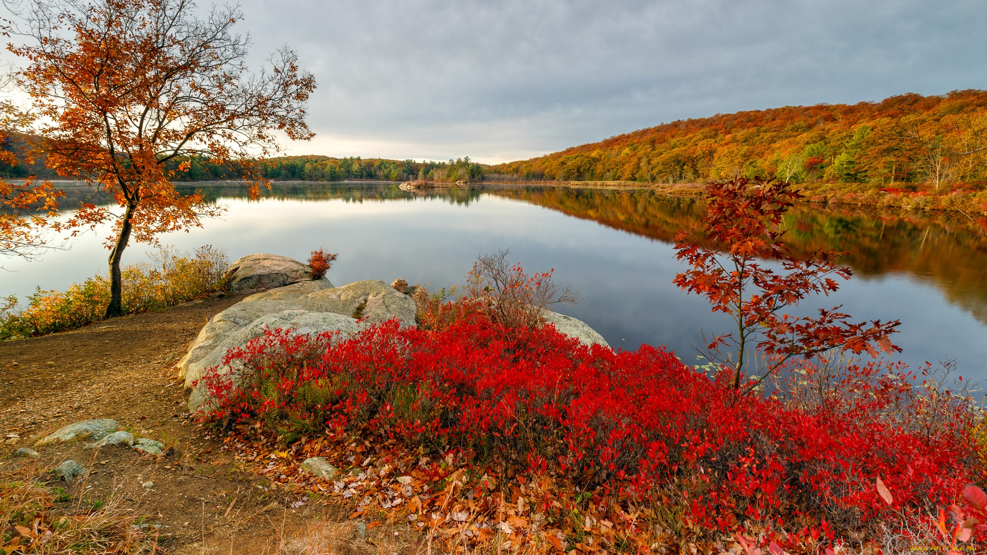 природа, реки, озера, простор