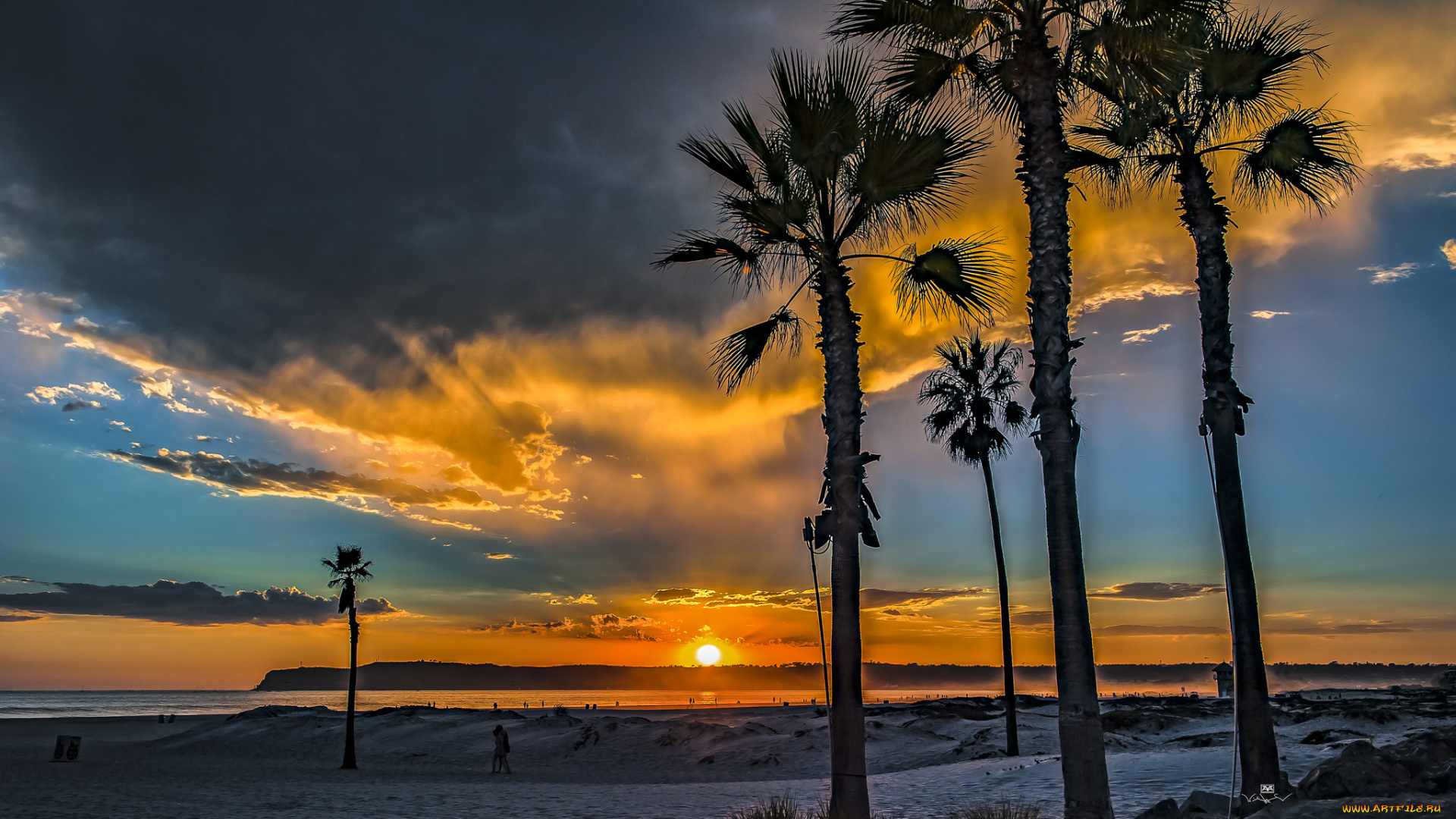 природа, тропики, простор