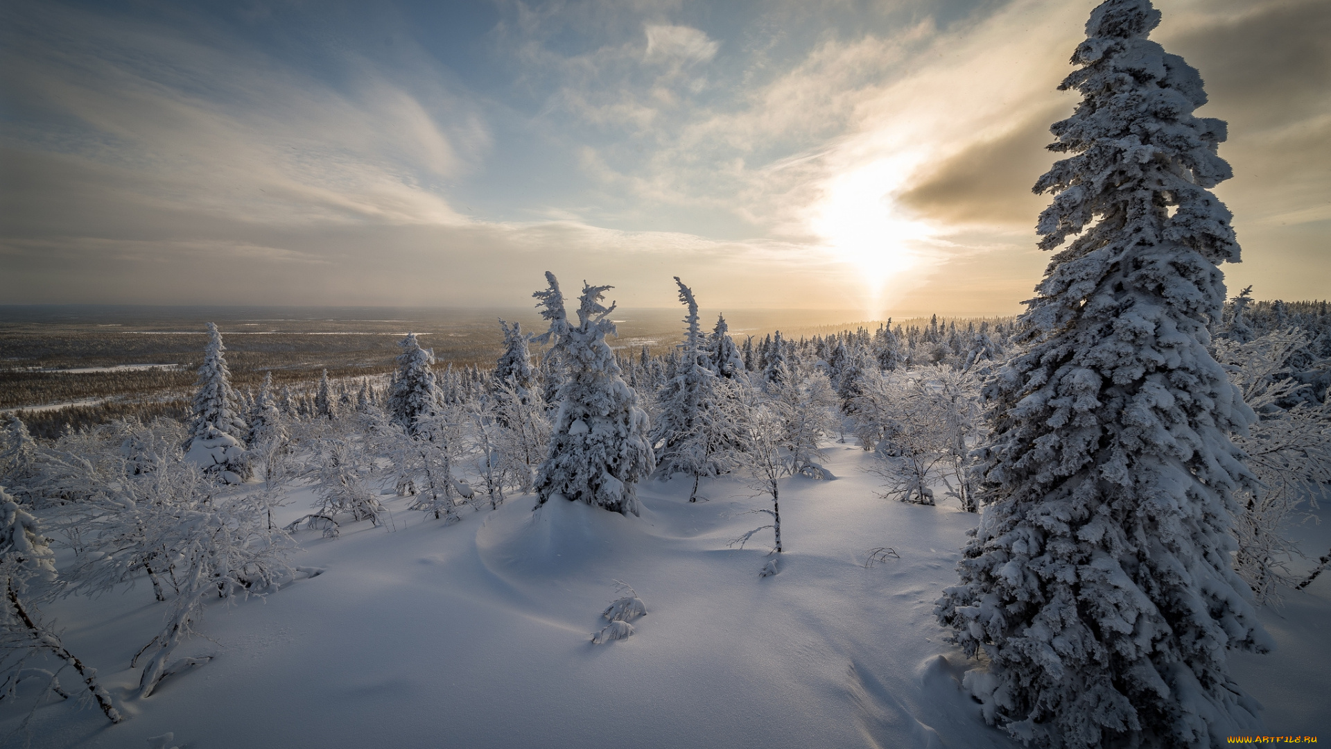 природа, зима, простор