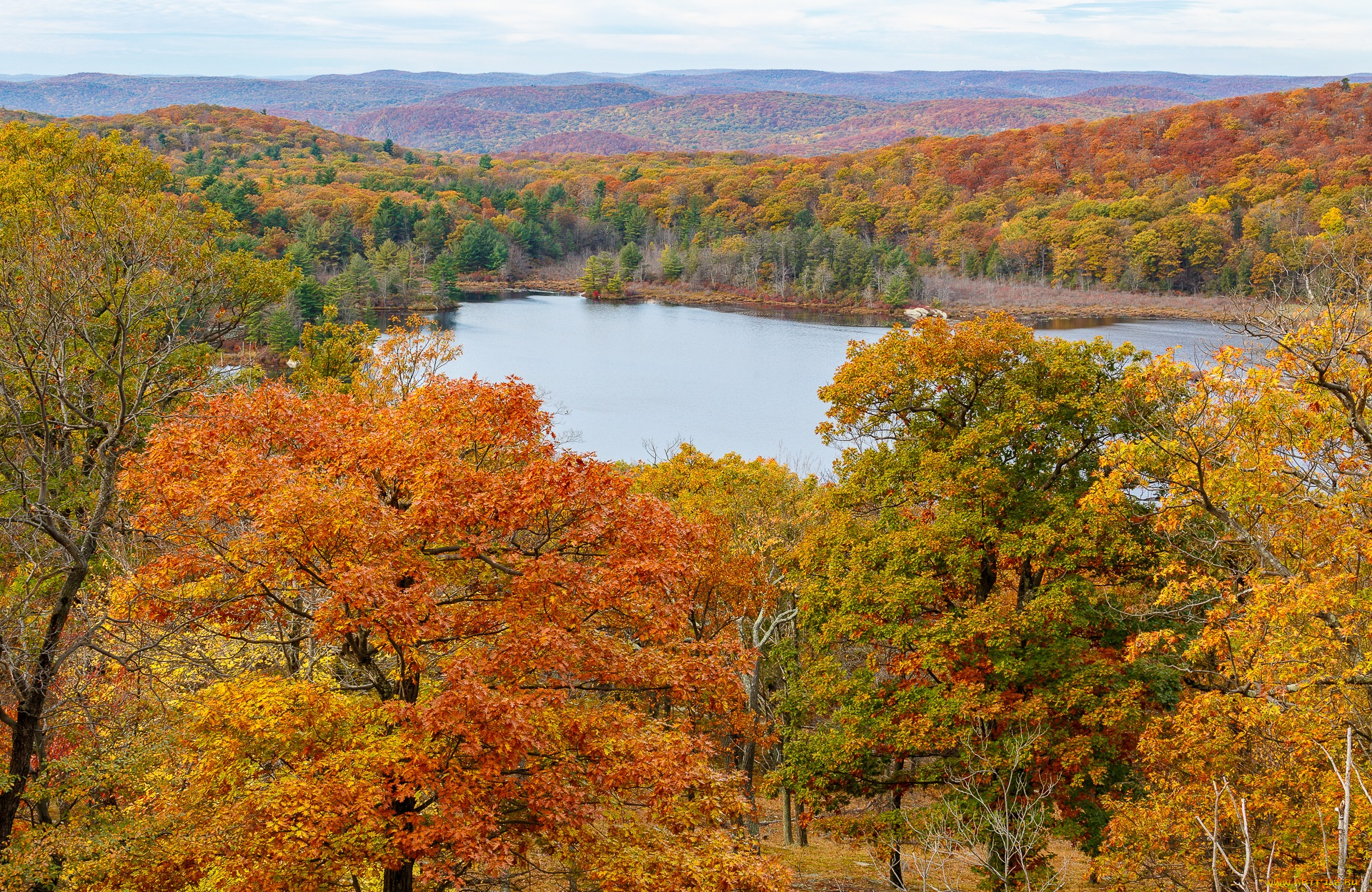 природа, реки, озера, простор