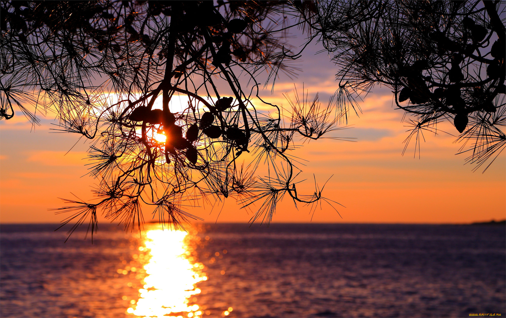 природа, восходы, закаты, простор