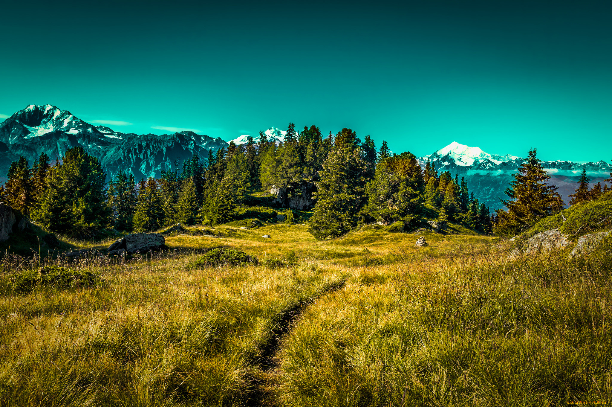 природа, пейзажи, простор