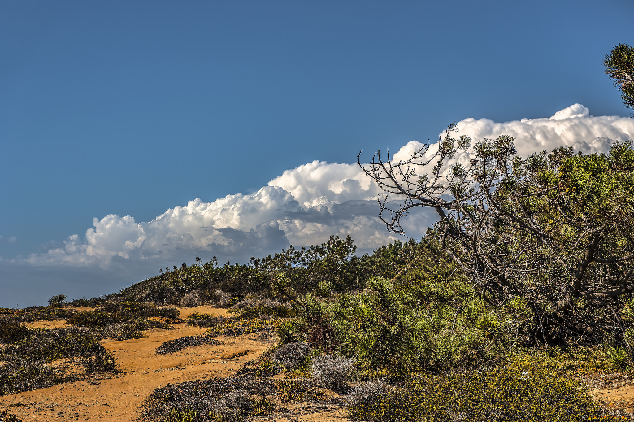 природа, пейзажи, простор