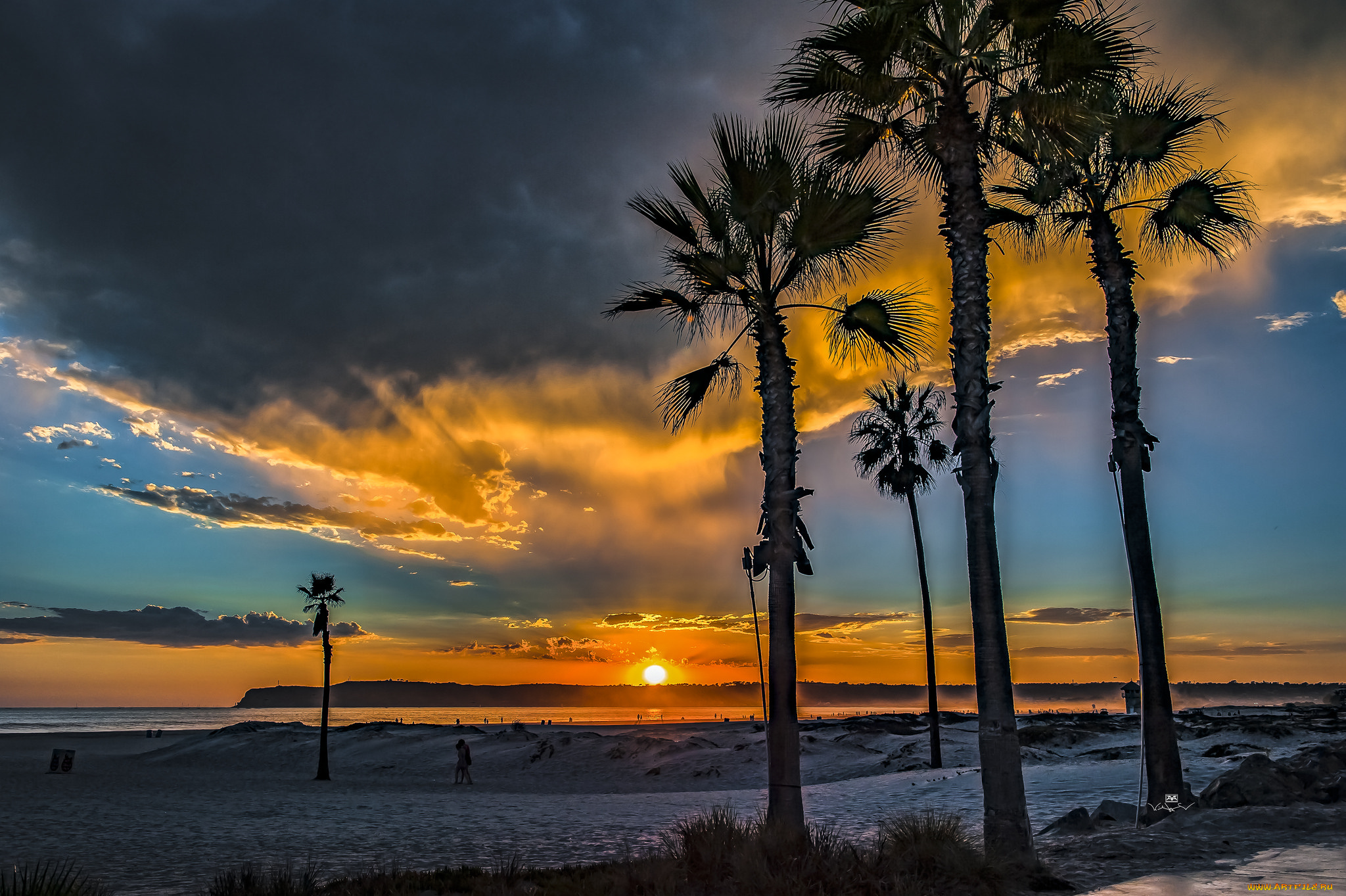 природа, тропики, простор