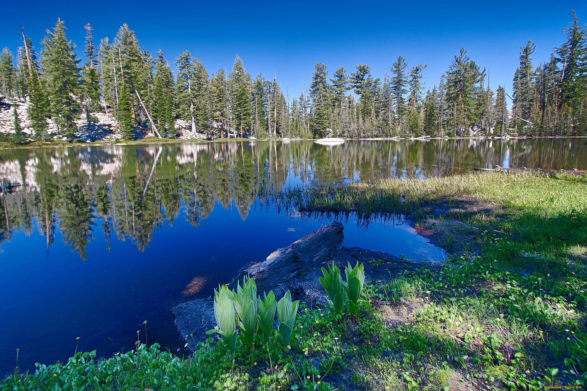 природа, реки, озера, простор