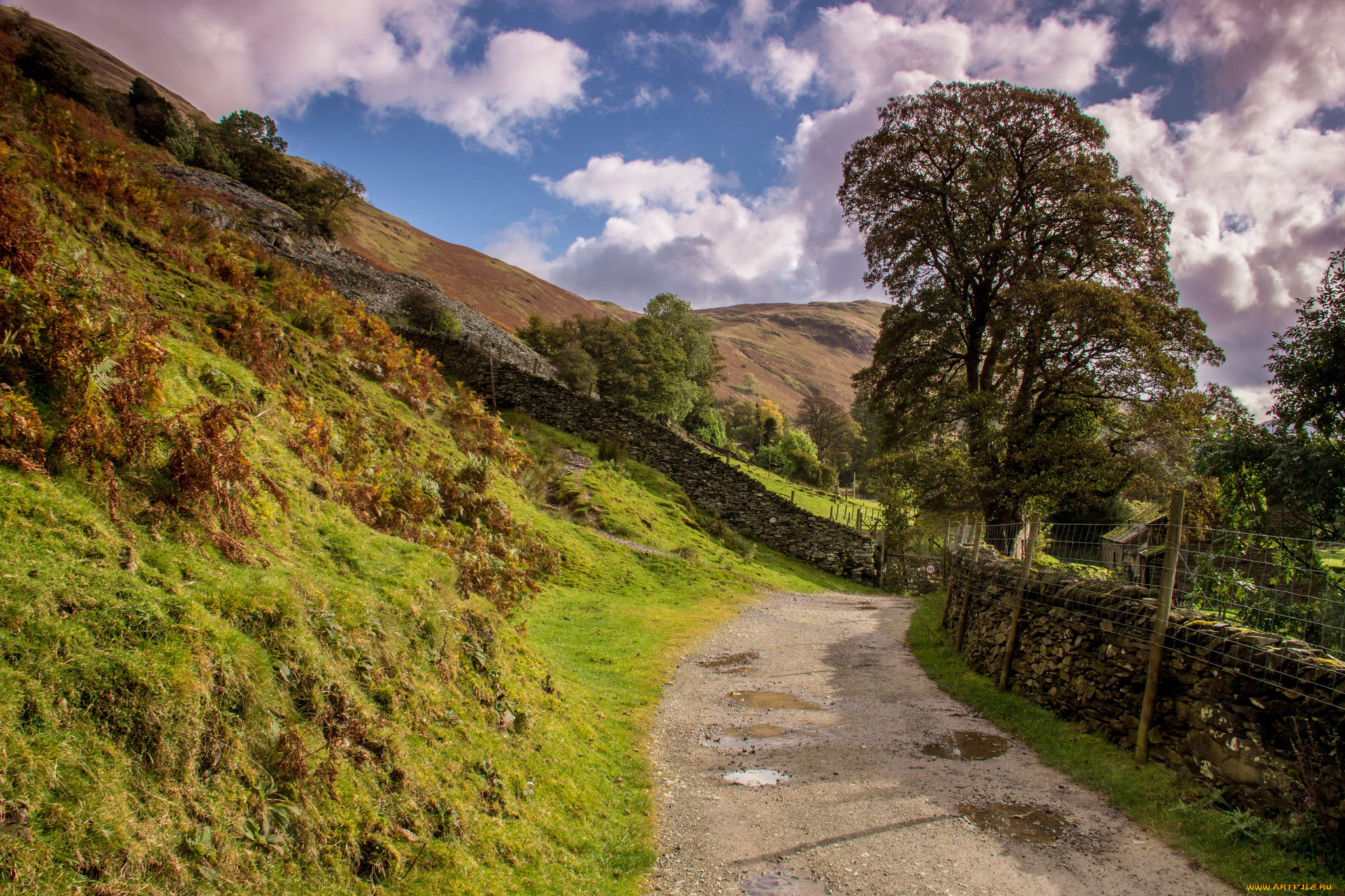 природа, дороги, простор