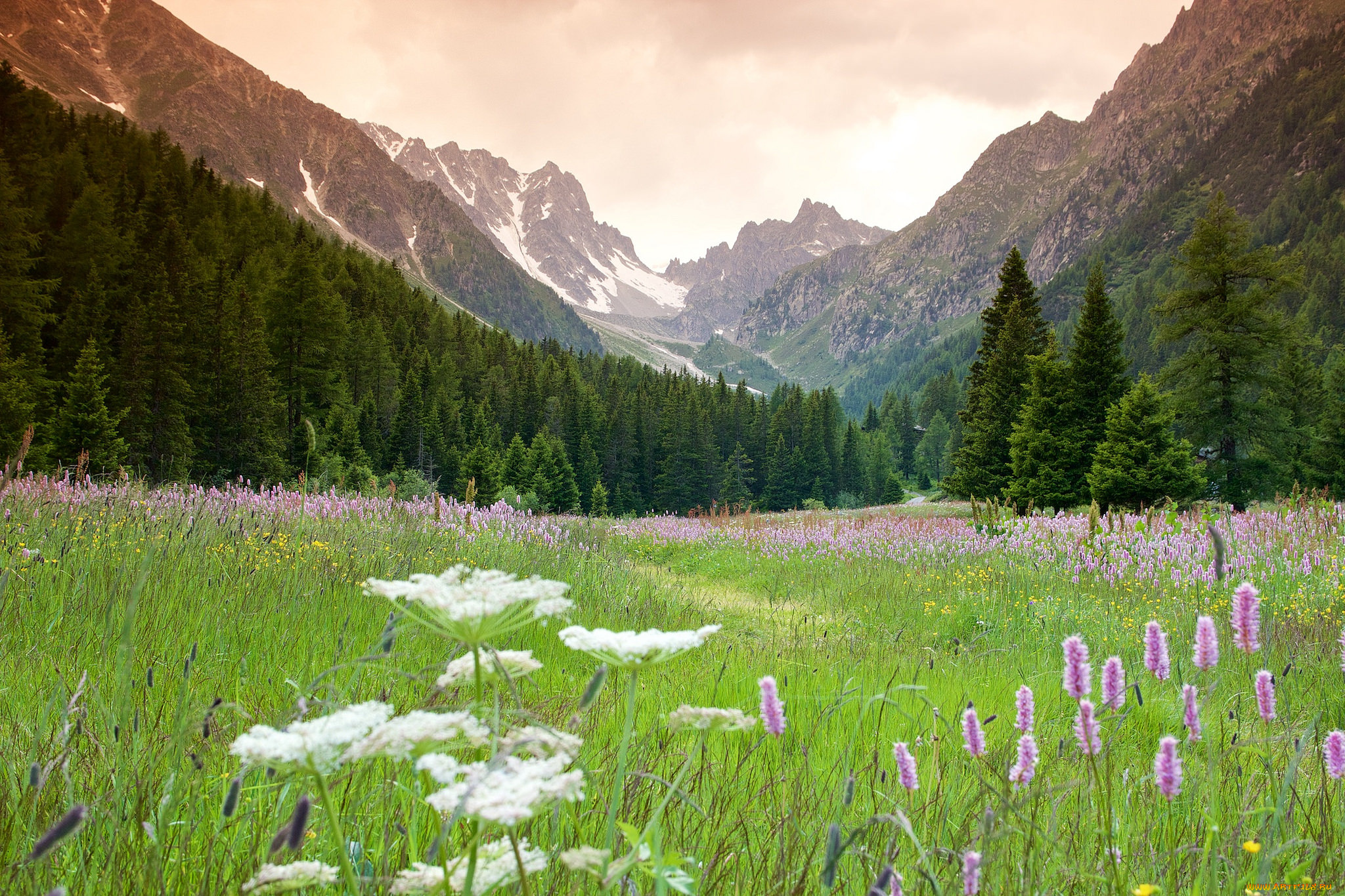 природа, горы, простор