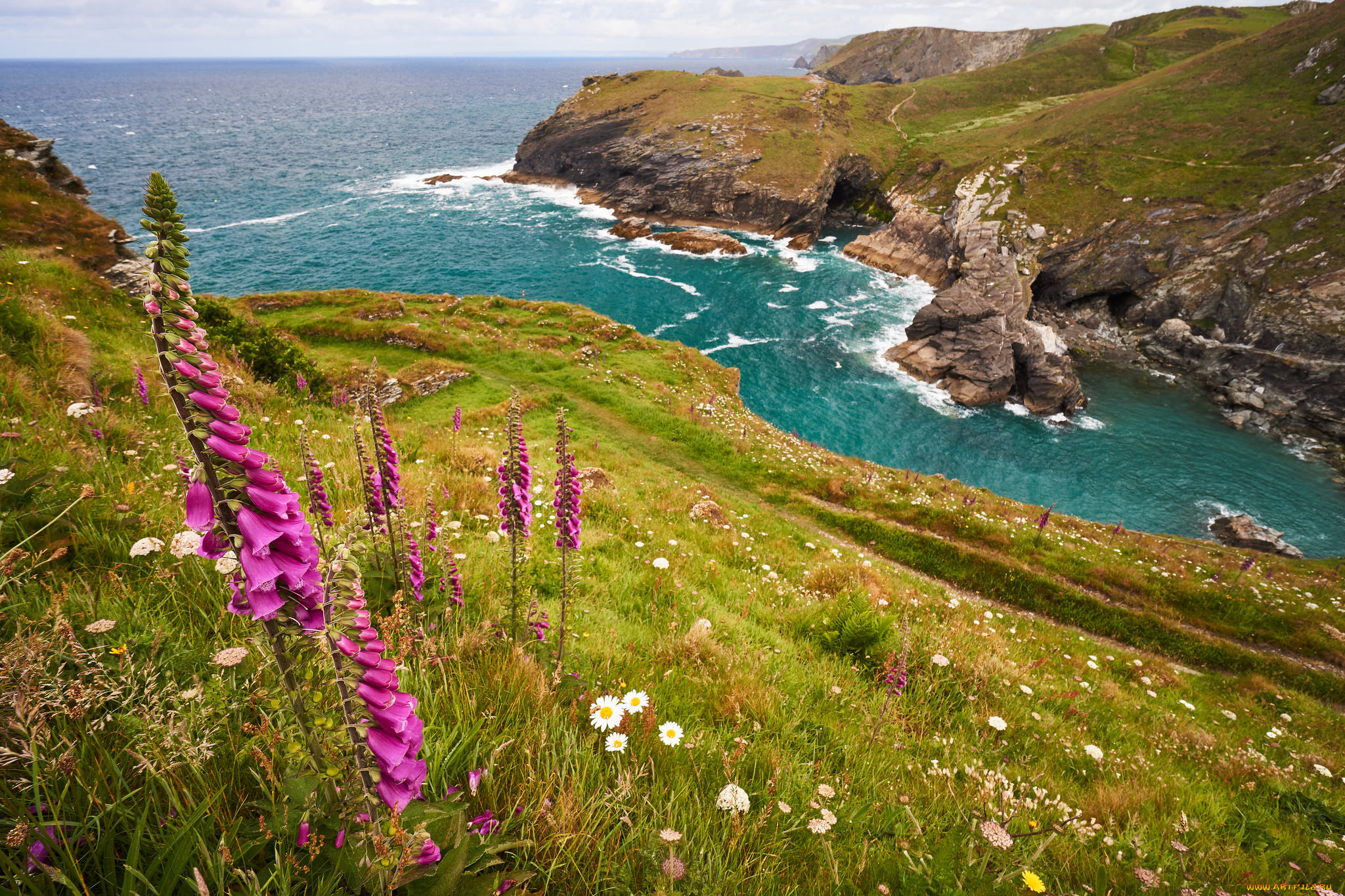 природа, побережье, простор