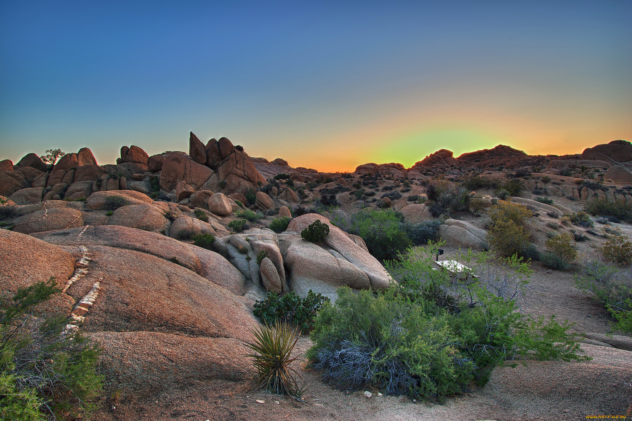 природа, пустыни, простор