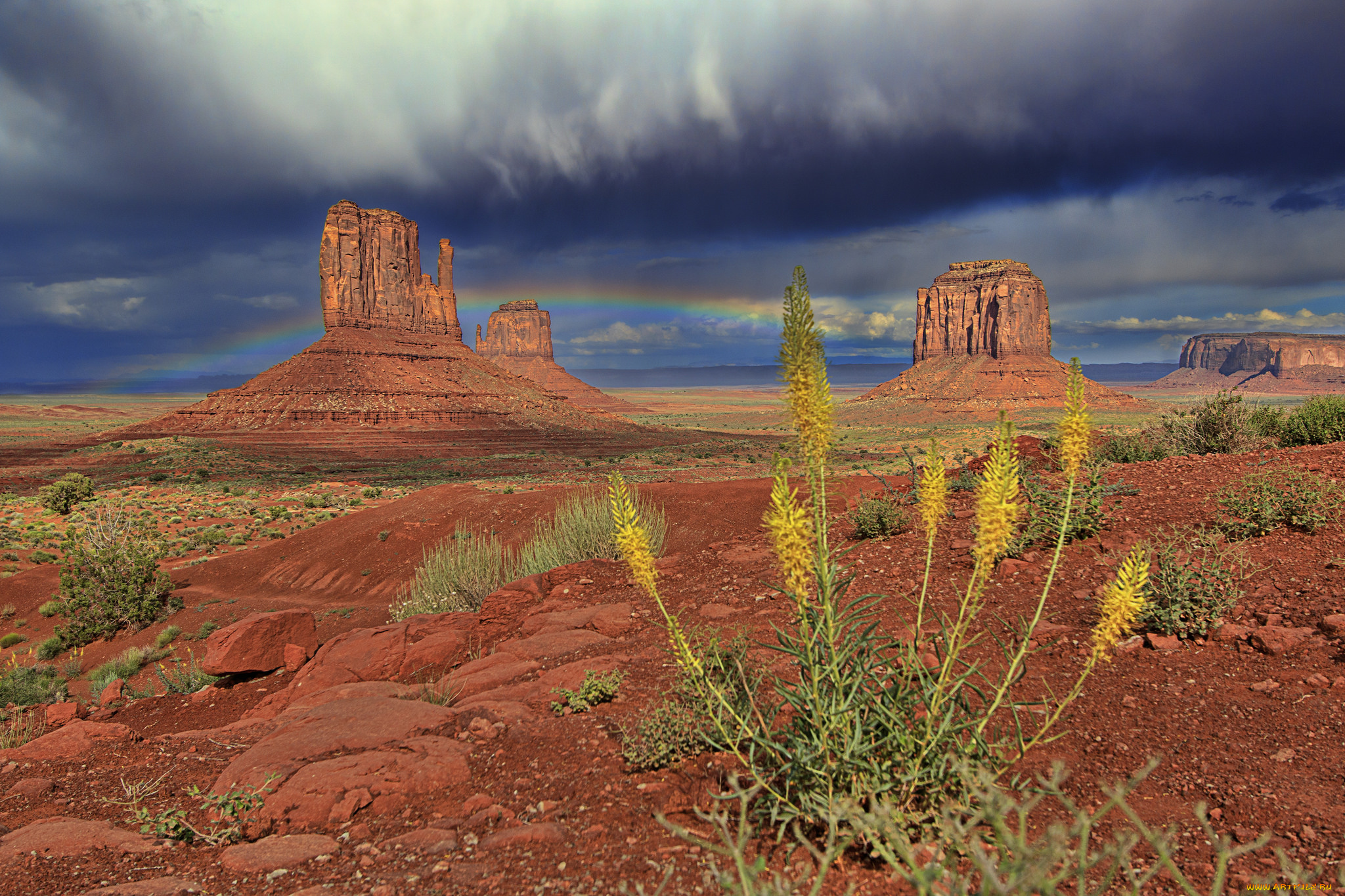 природа, пустыни, простор