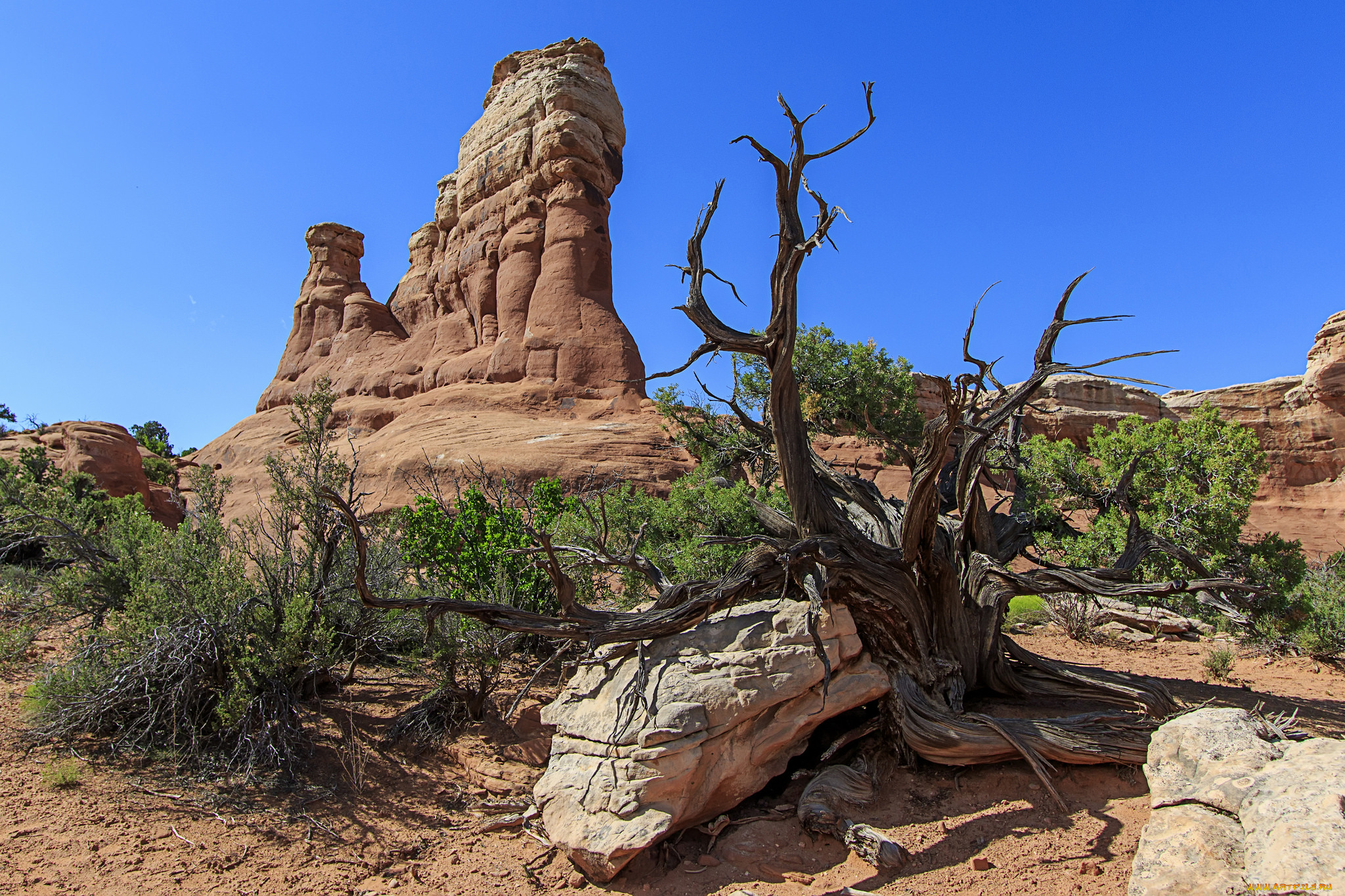 природа, пустыни, простор