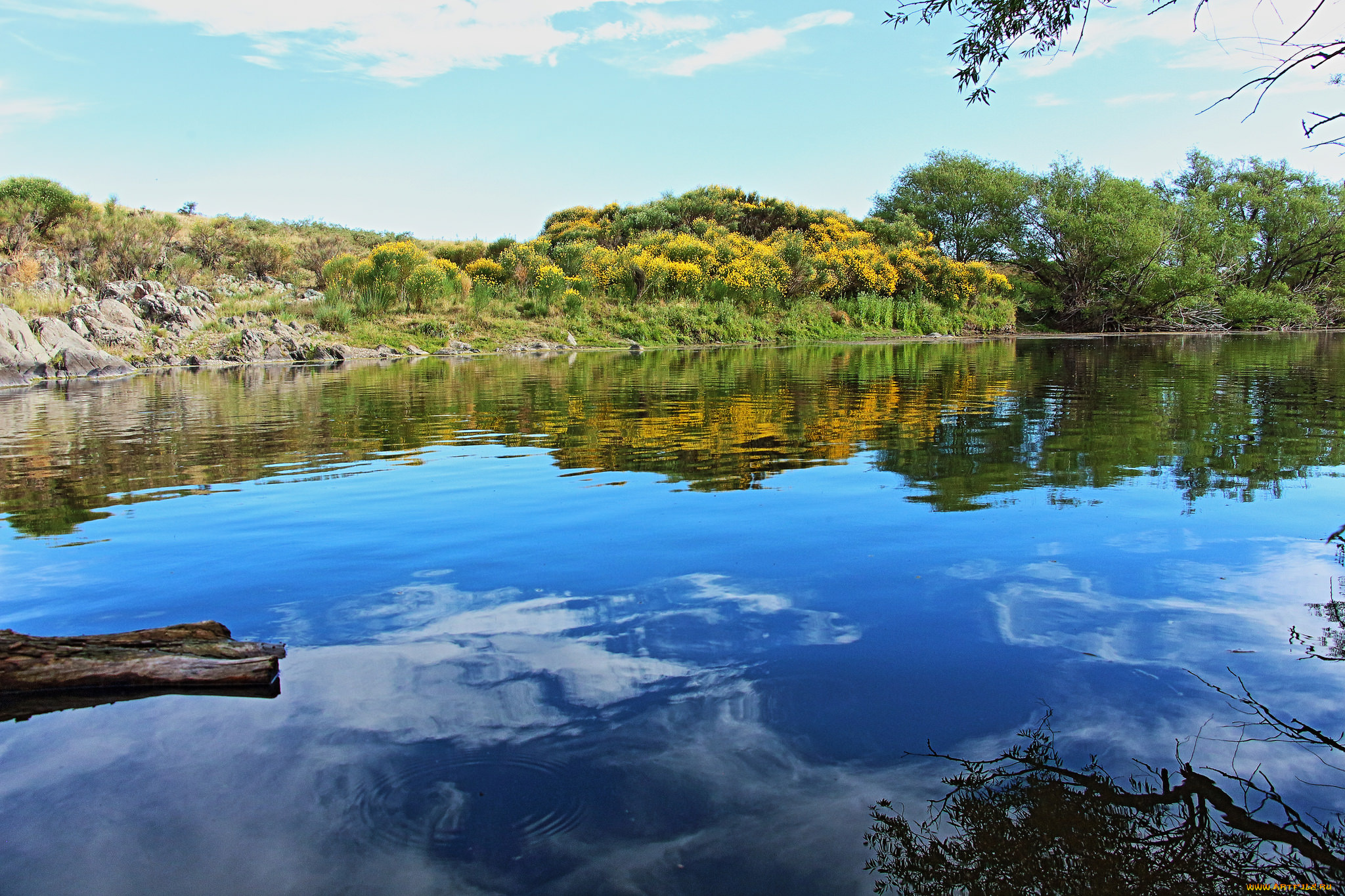 природа, реки, озера, простор