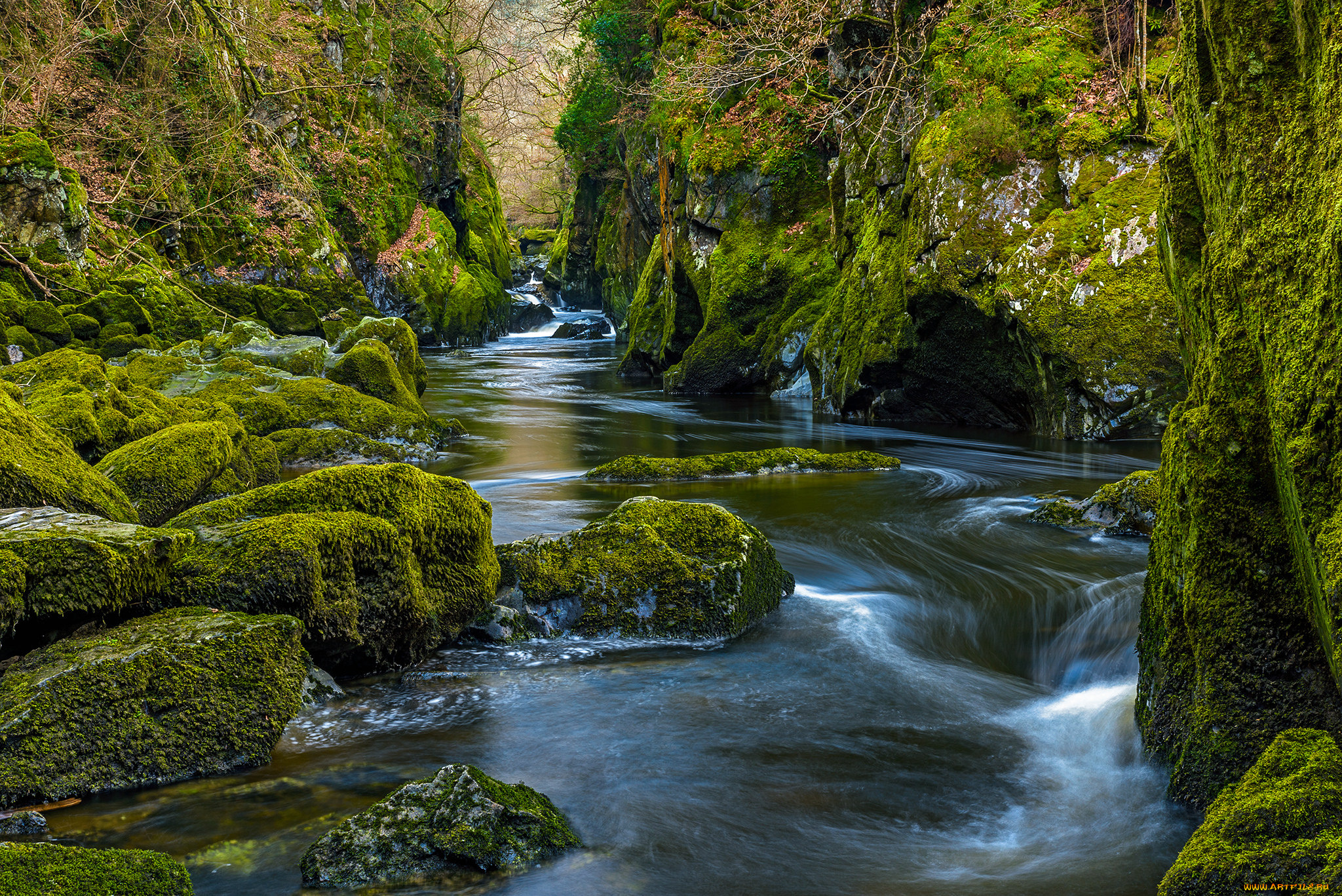 природа, реки, озера, простор