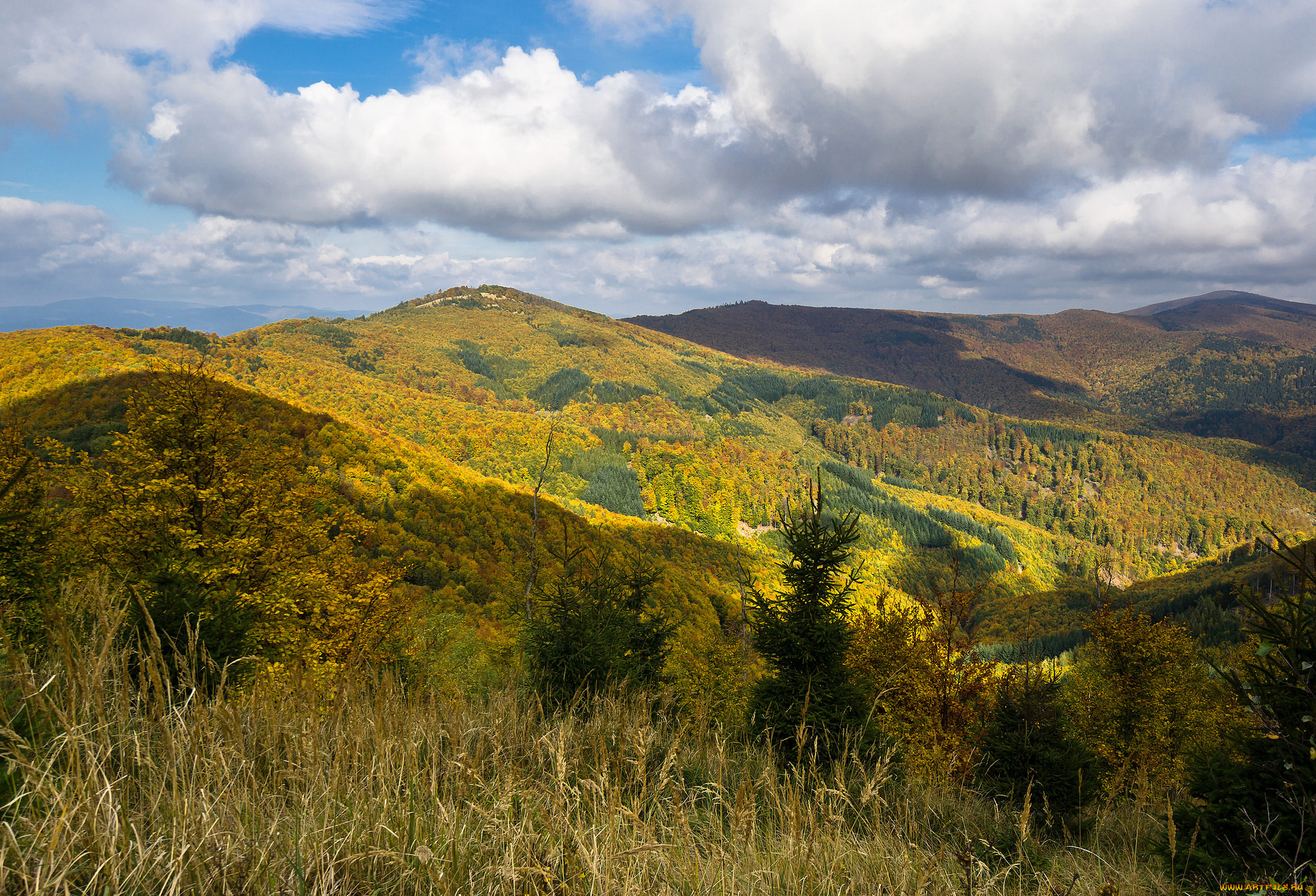 природа, пейзажи, простор