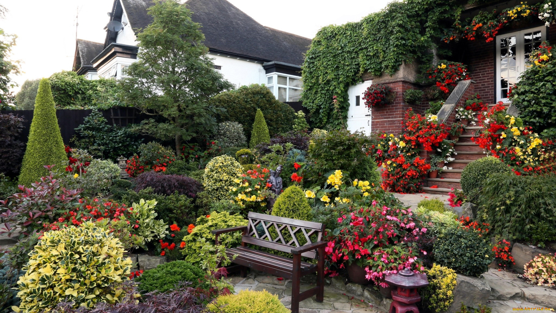 цветы, разные, вместе, клумбы