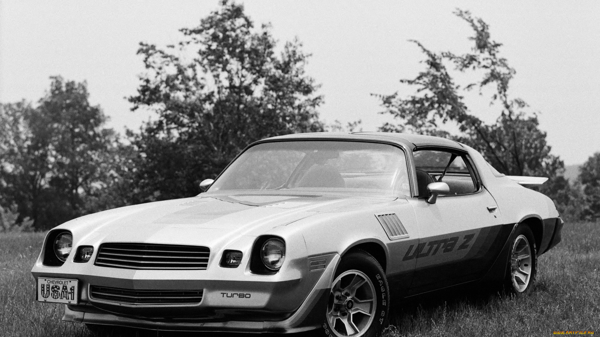 автомобили, camaro