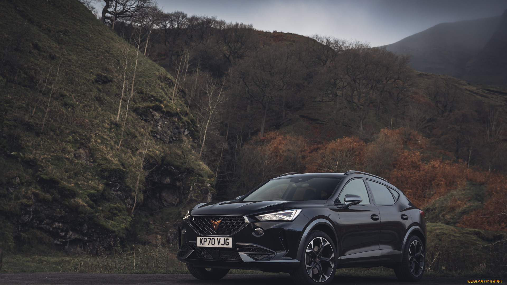 автомобили, cupra