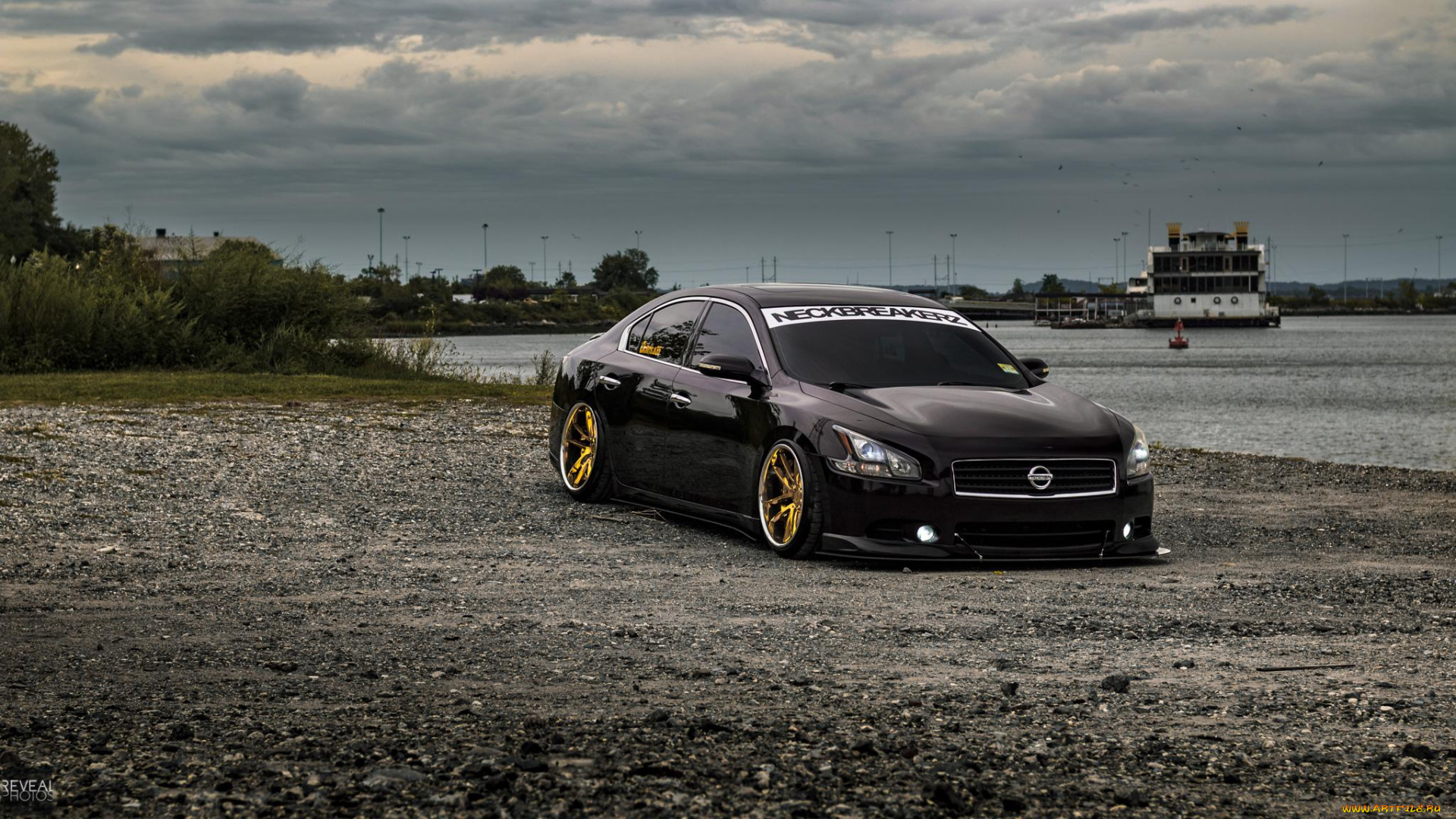 автомобили, nissan, datsun