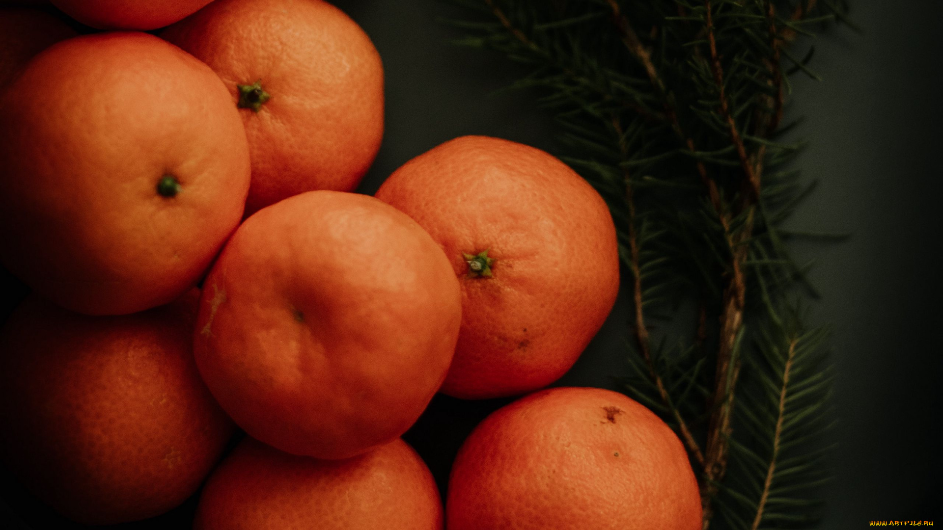 еда, цитрусы, мандарины