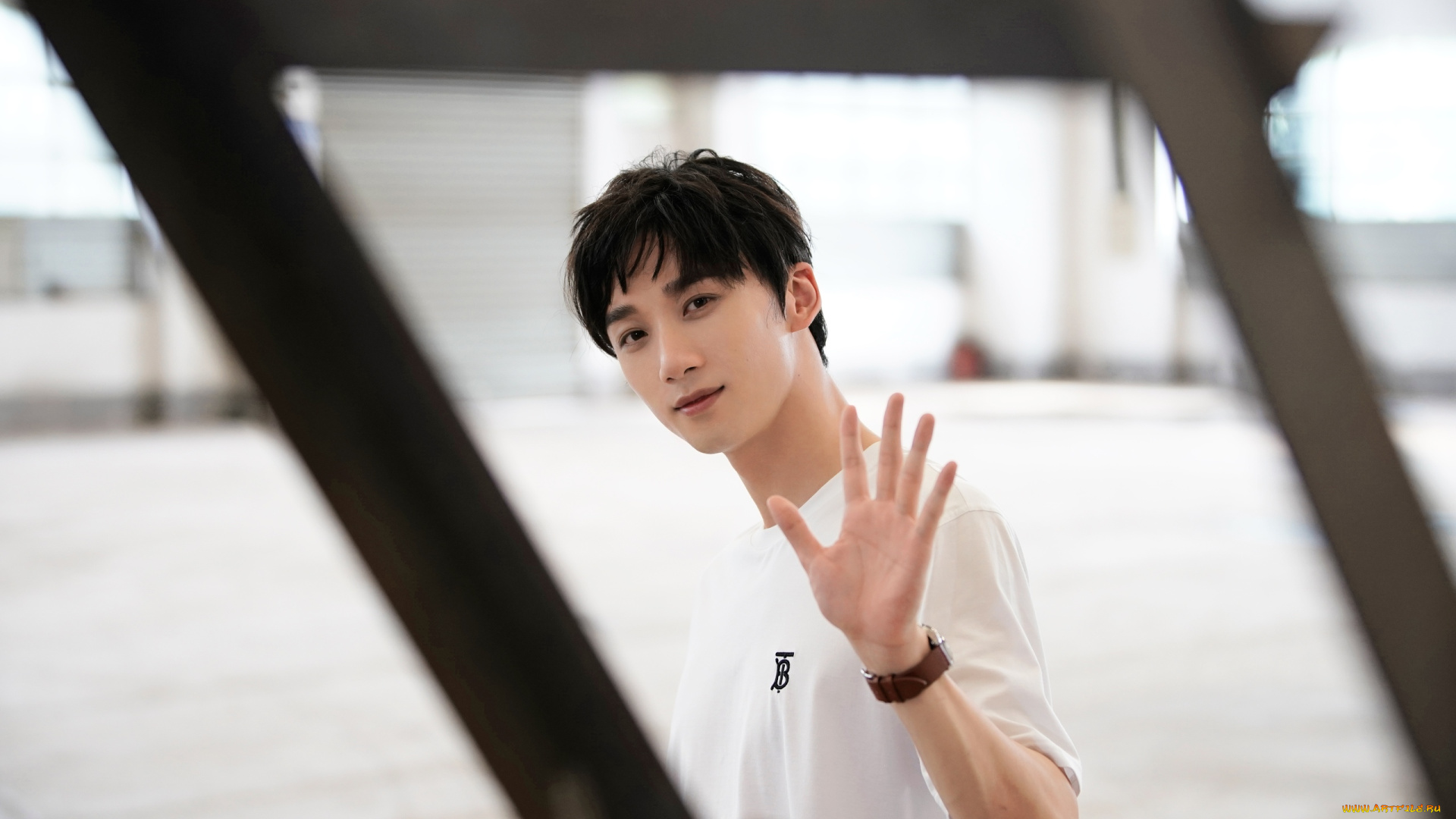 мужчины, li, bo, wen, li, bo, wen