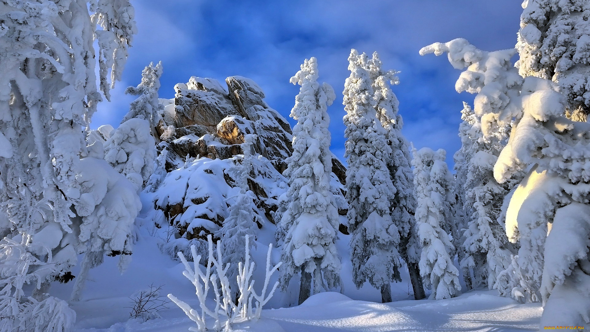 природа, зима, снег, сугробы