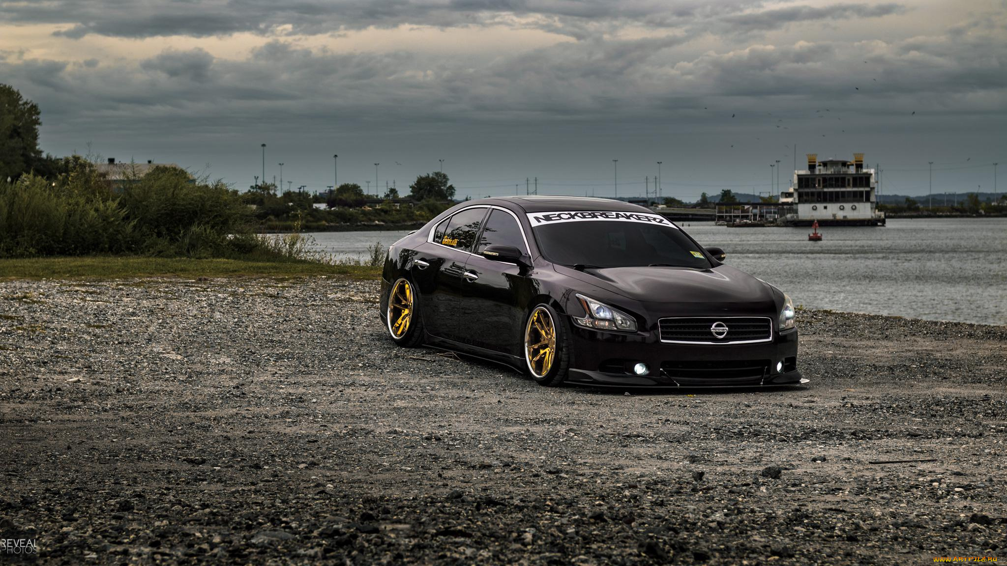 автомобили, nissan, datsun