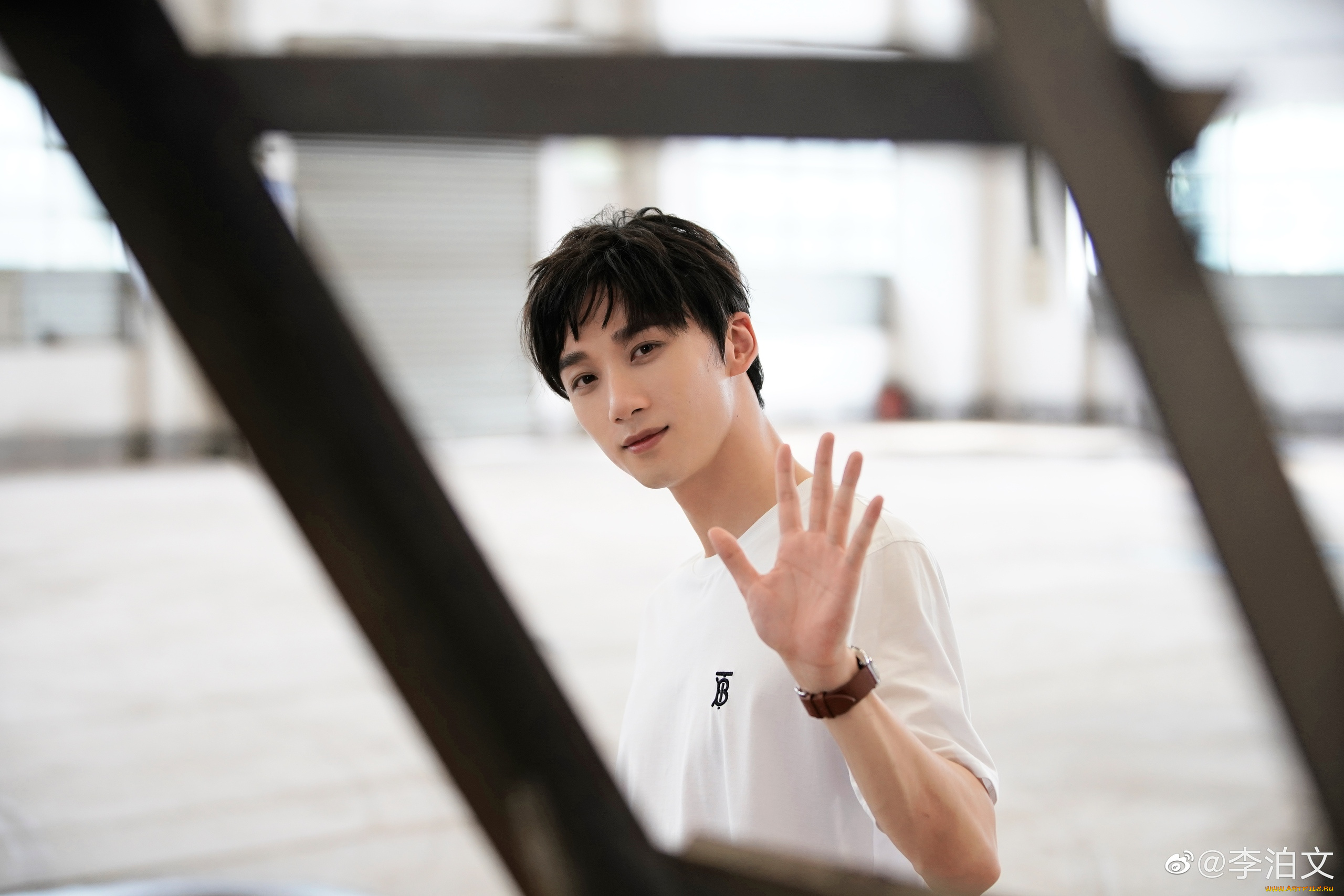 мужчины, li, bo, wen, li, bo, wen