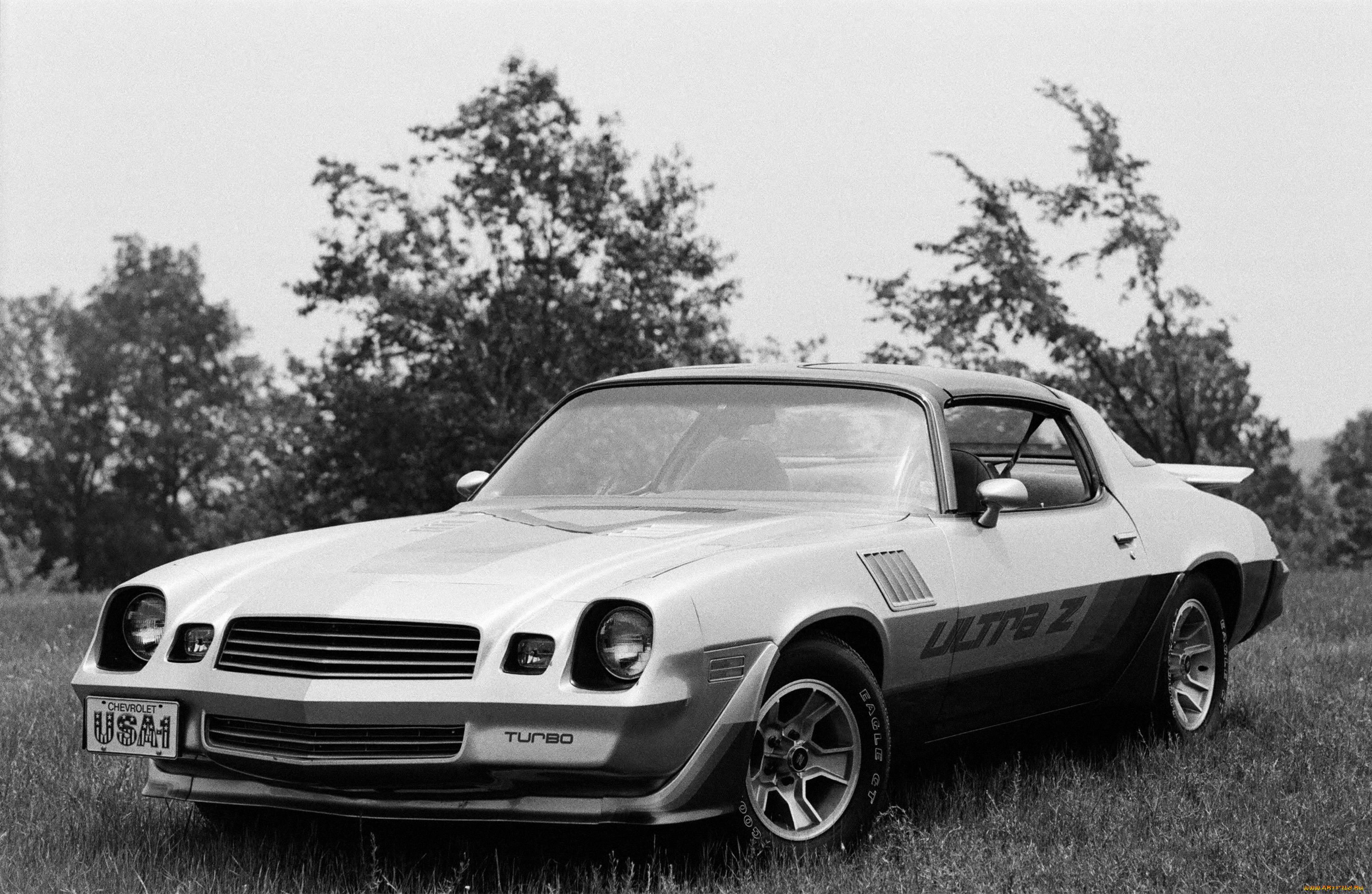 автомобили, camaro