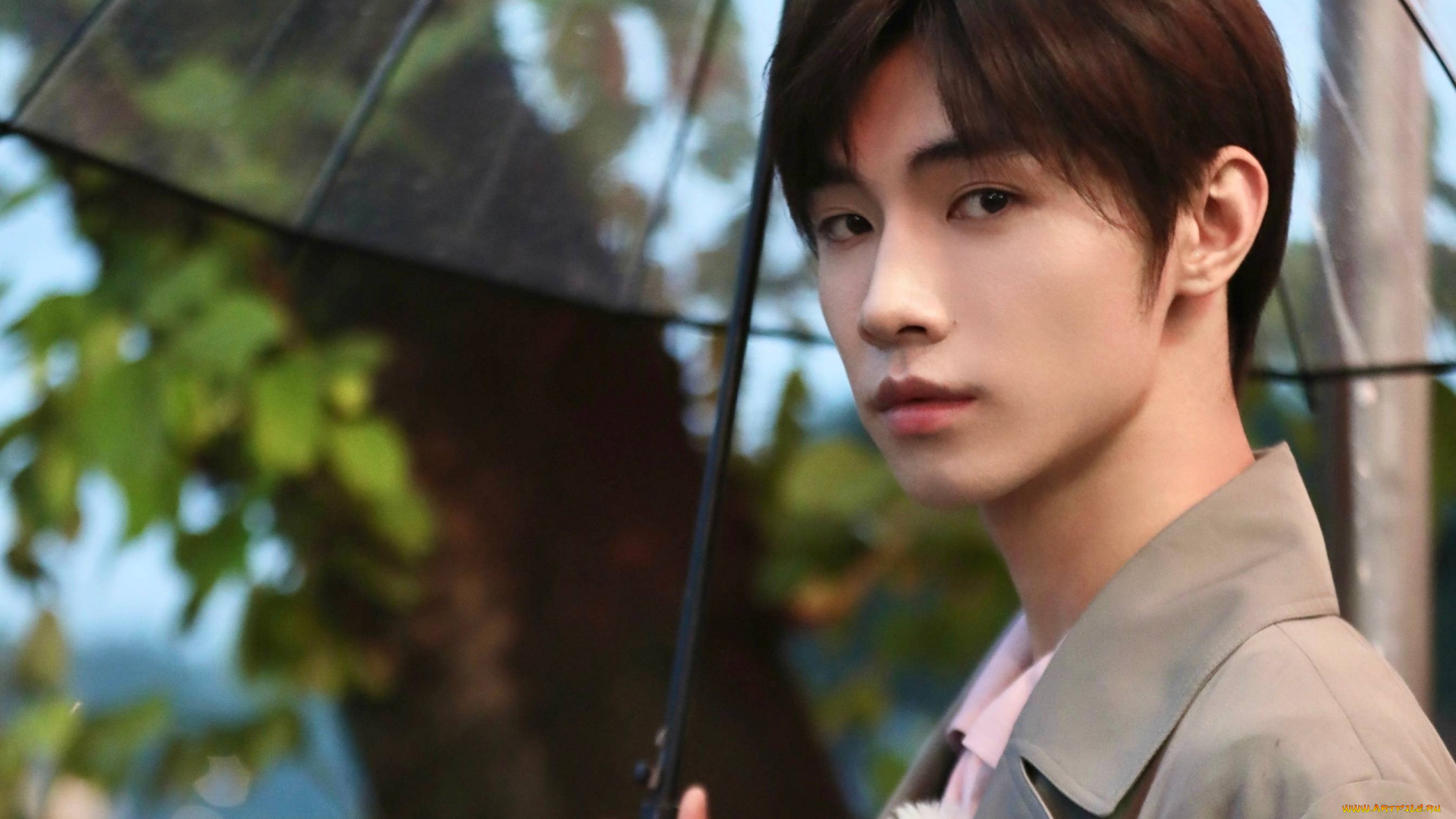 мужчины, song, ji, yang, сун, цзиян, китайский, актёр, певец