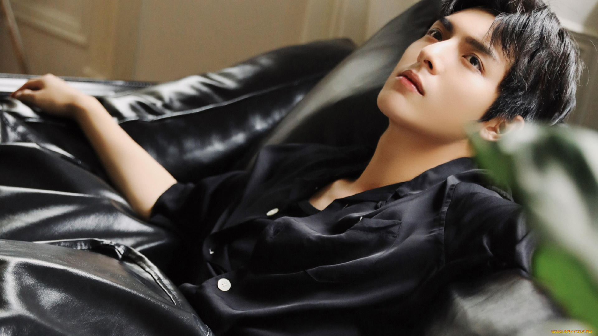 мужчины, wang, hao, xuan, ван, хао, сюань