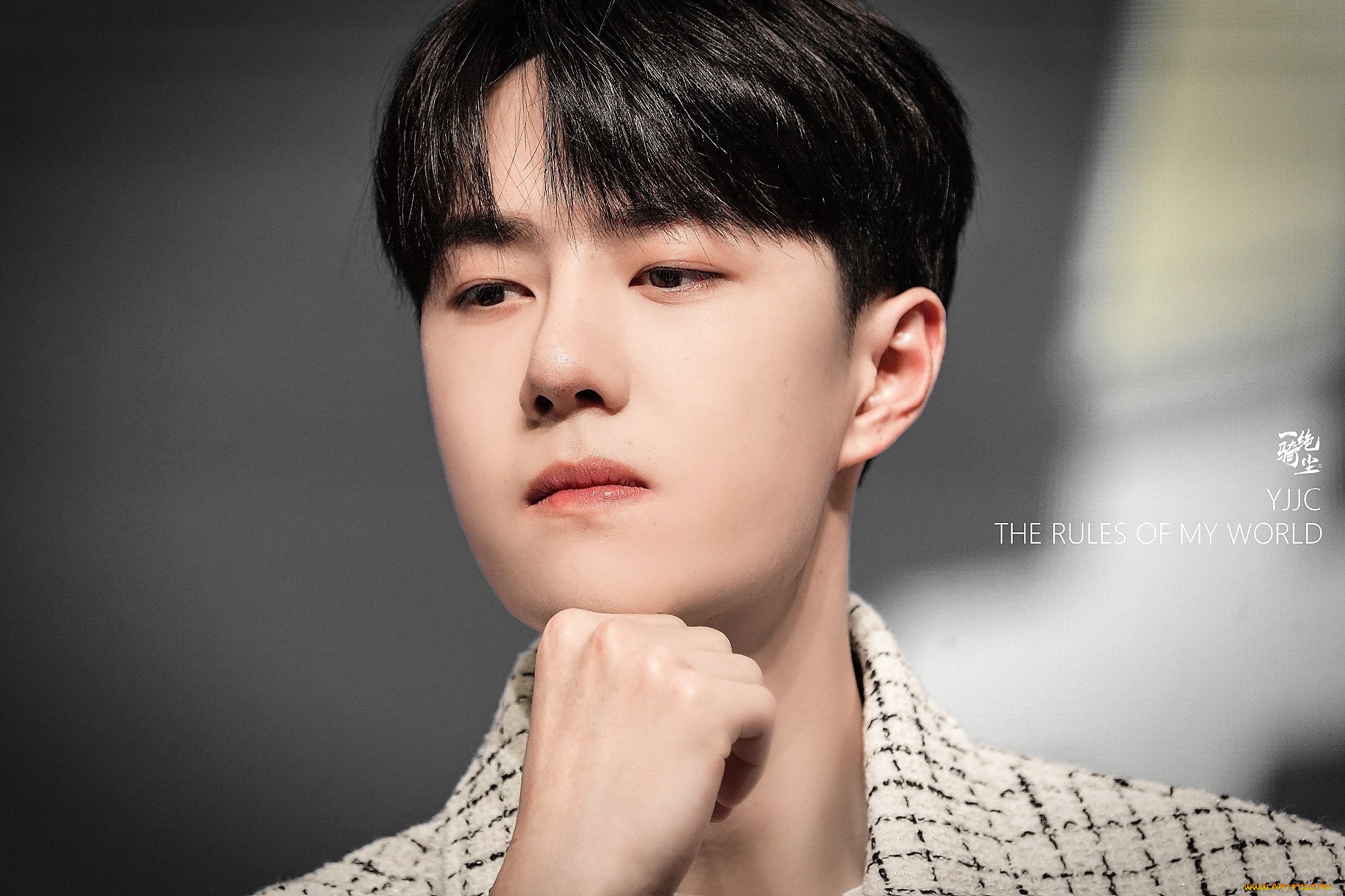 мужчины, wang, yi, bo, лицо, пиджак