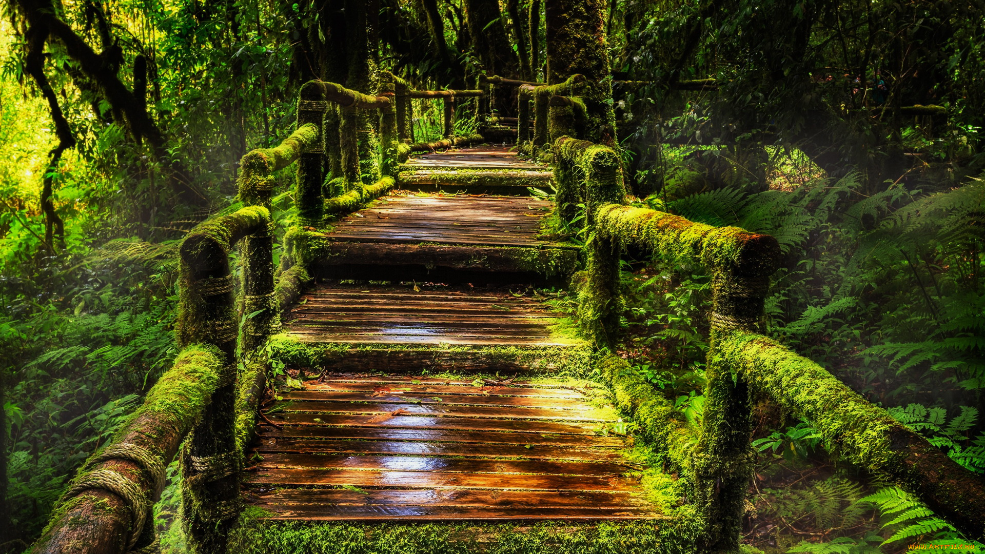 doi, inthanon, national, park, thailand, природа, парк, doi, inthanon, national, park