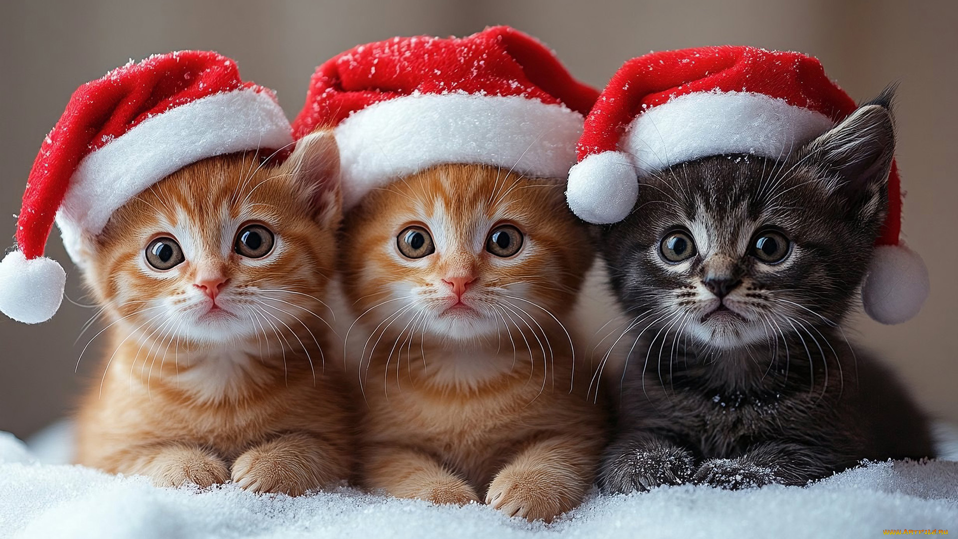 праздничные, -, разное, , новый, год, нейросети, графика, нейроарт, ai, art, нейронные, сети, рисунки, нейро, искусство, нейрографика, graphics, neuroart, neural, networks, drawings, neuro, neurography