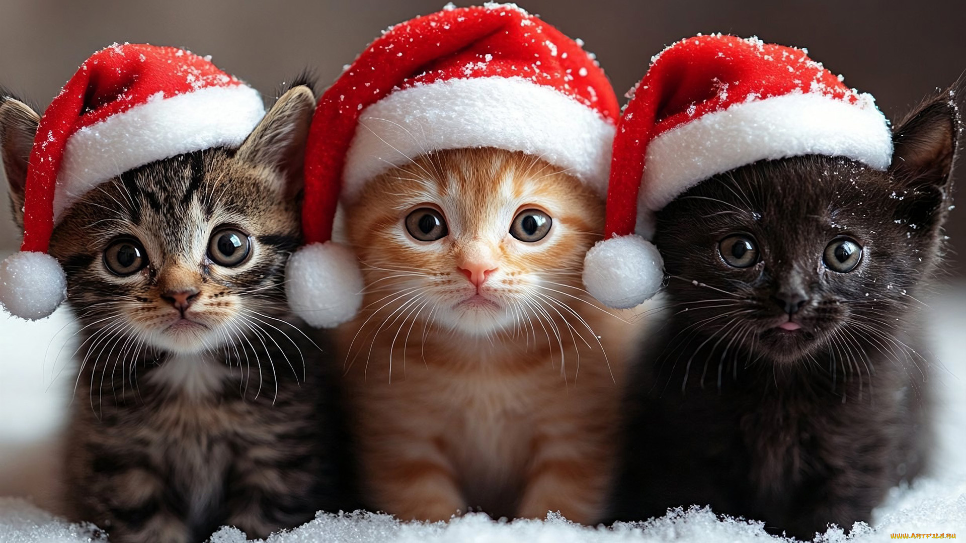 праздничные, -, разное, , новый, год, нейросети, графика, нейроарт, ai, art, нейронные, сети, рисунки, нейро, искусство, нейрографика, graphics, neuroart, neural, networks, drawings, neuro, neurography