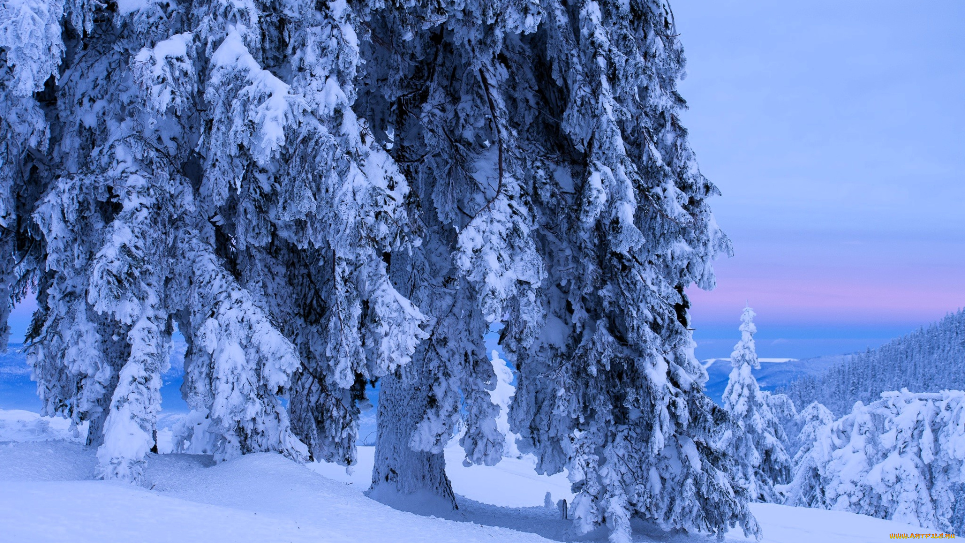 природа, зима, деревья, горы, снег