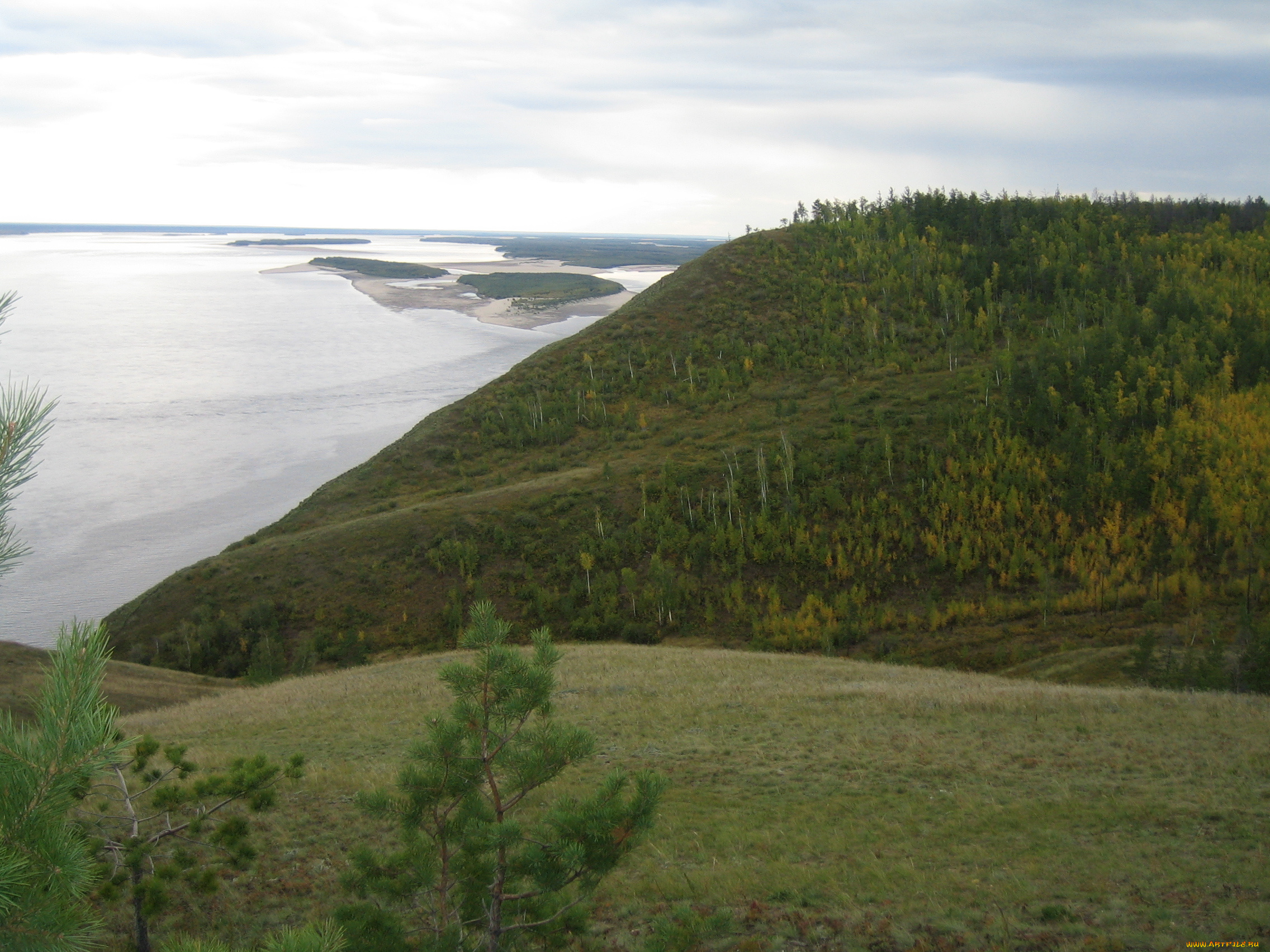 сопка, Якутск, природа