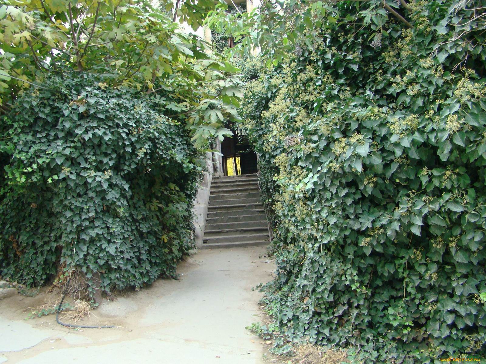 разное, элементы, архитектуры