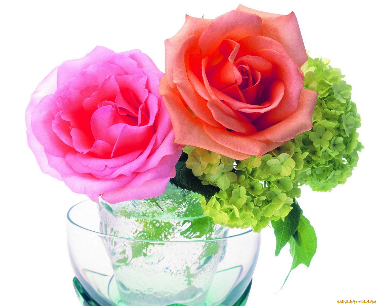 цветы, букеты, композиции